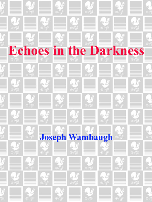 Echoes In The Darkness Joseph Wambaugh