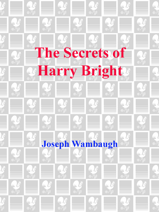 The Secrets Of Harry Bright Joseph Wambaugh
