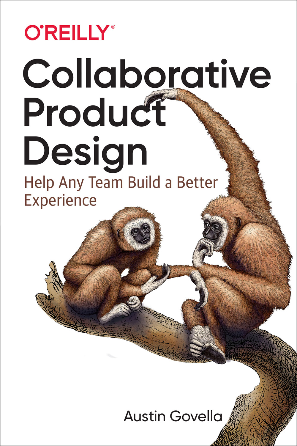 Collaborative Product Design Austin Govella
