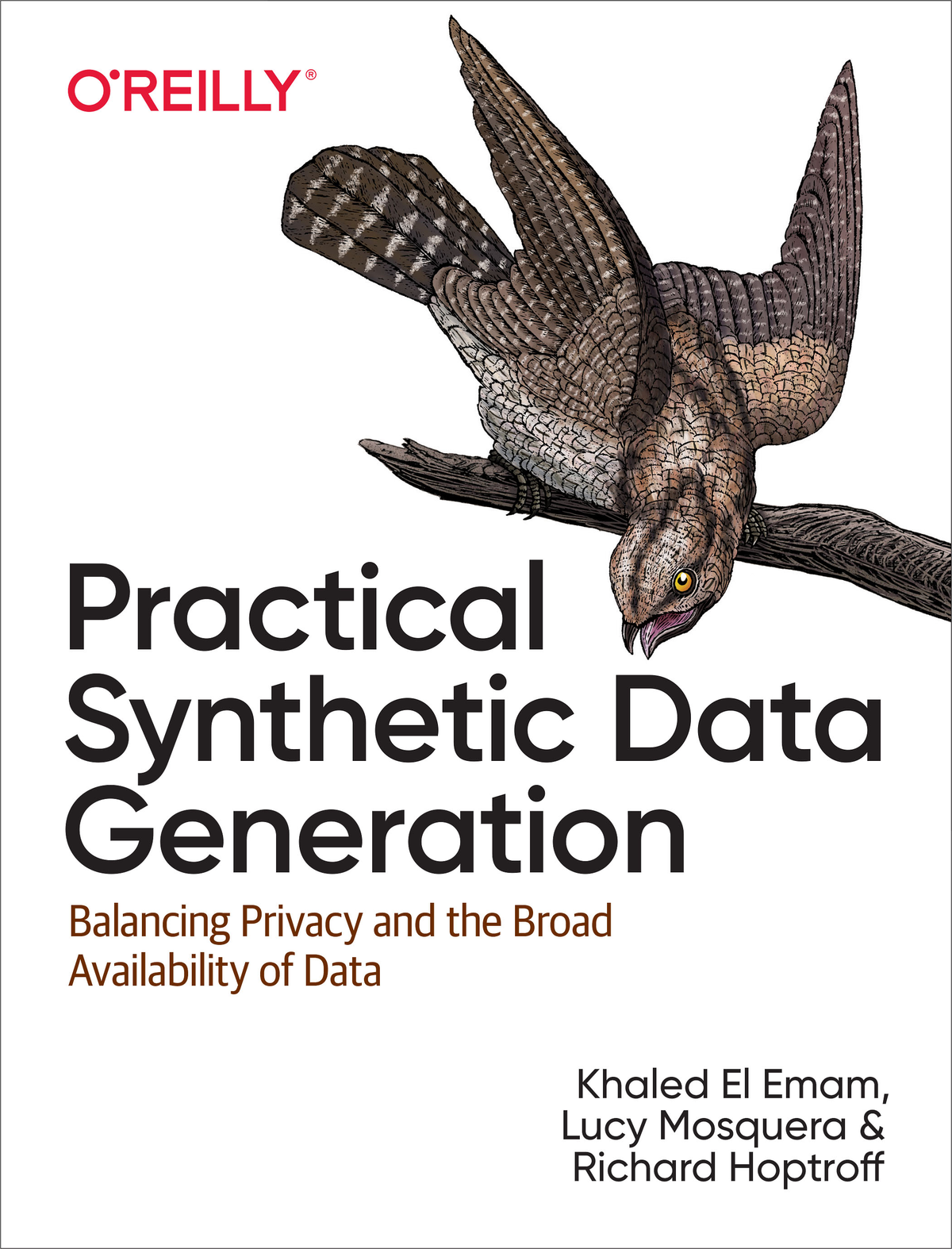 Practical Synthetic Data Generation Khaled El Emam