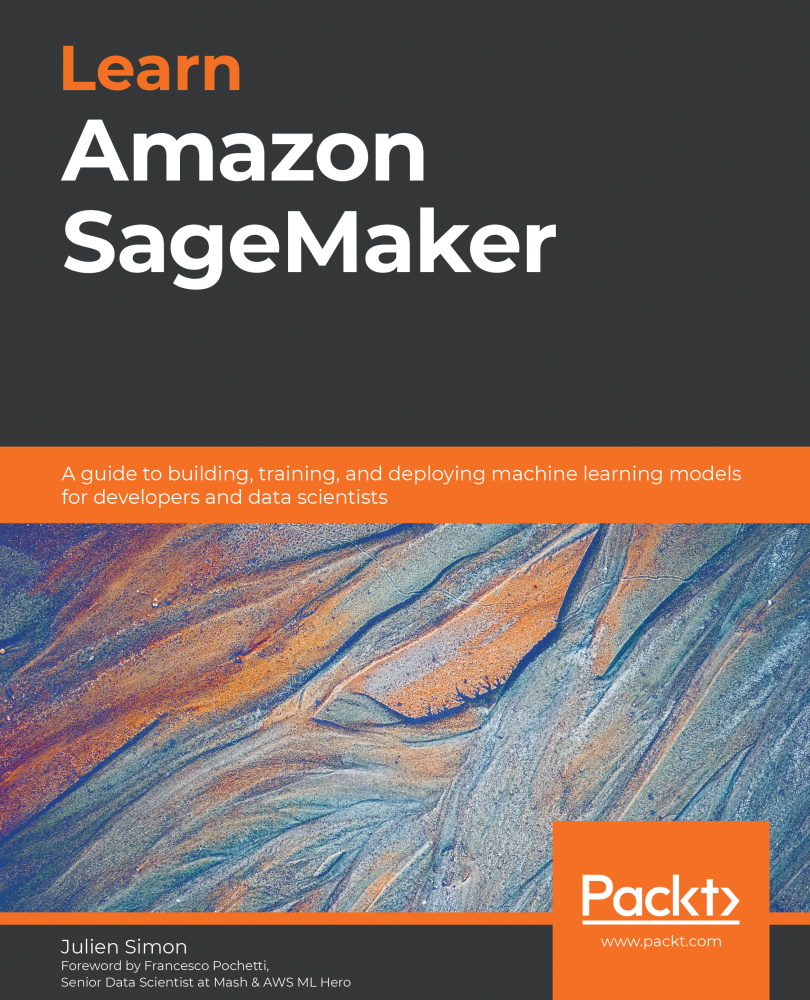 Learn Amazon Sagemaker Julien Simon