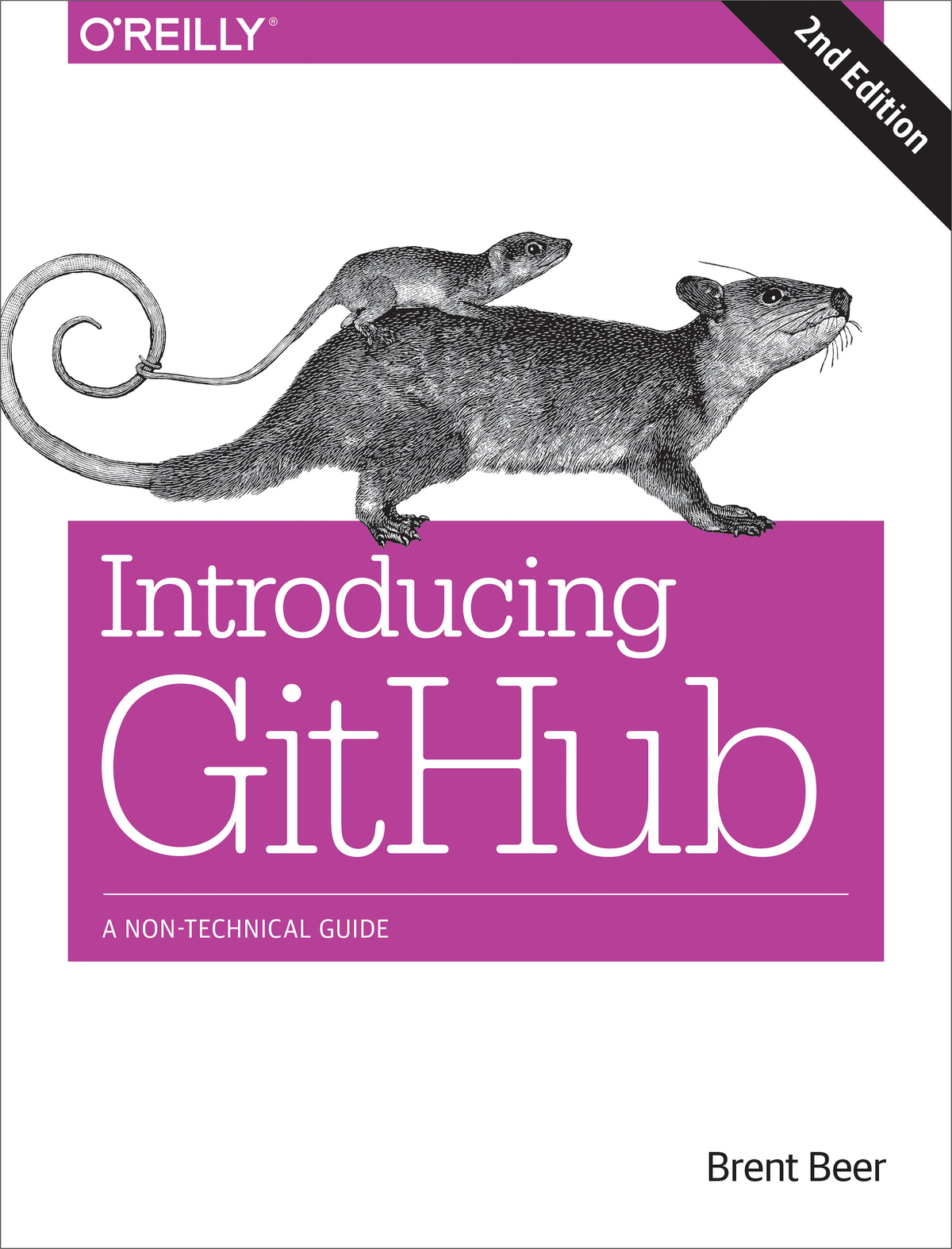 Introducing Github Brent Beer