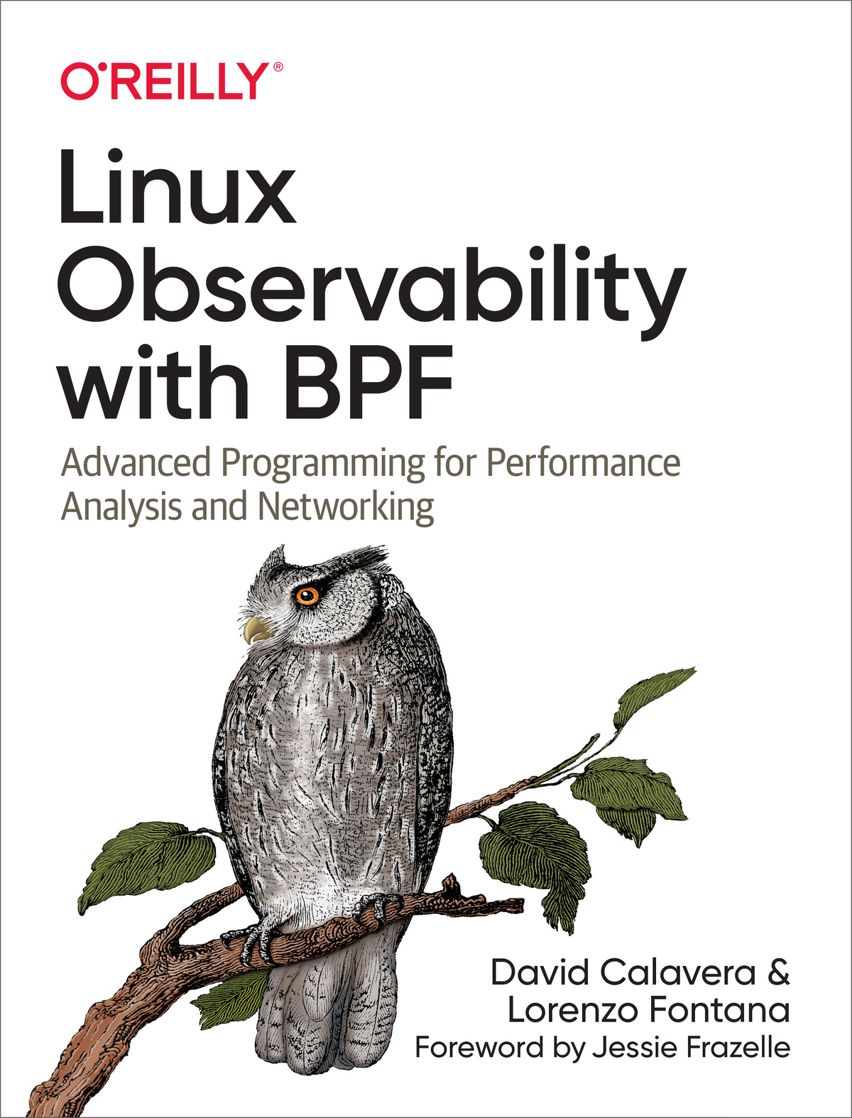 Linux Observability With Bpf David Calavera