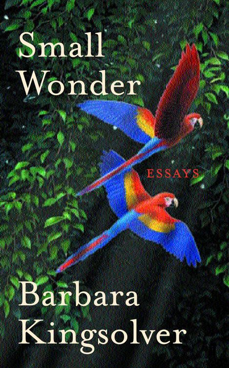 Small Wonder Barbara Kingsolver