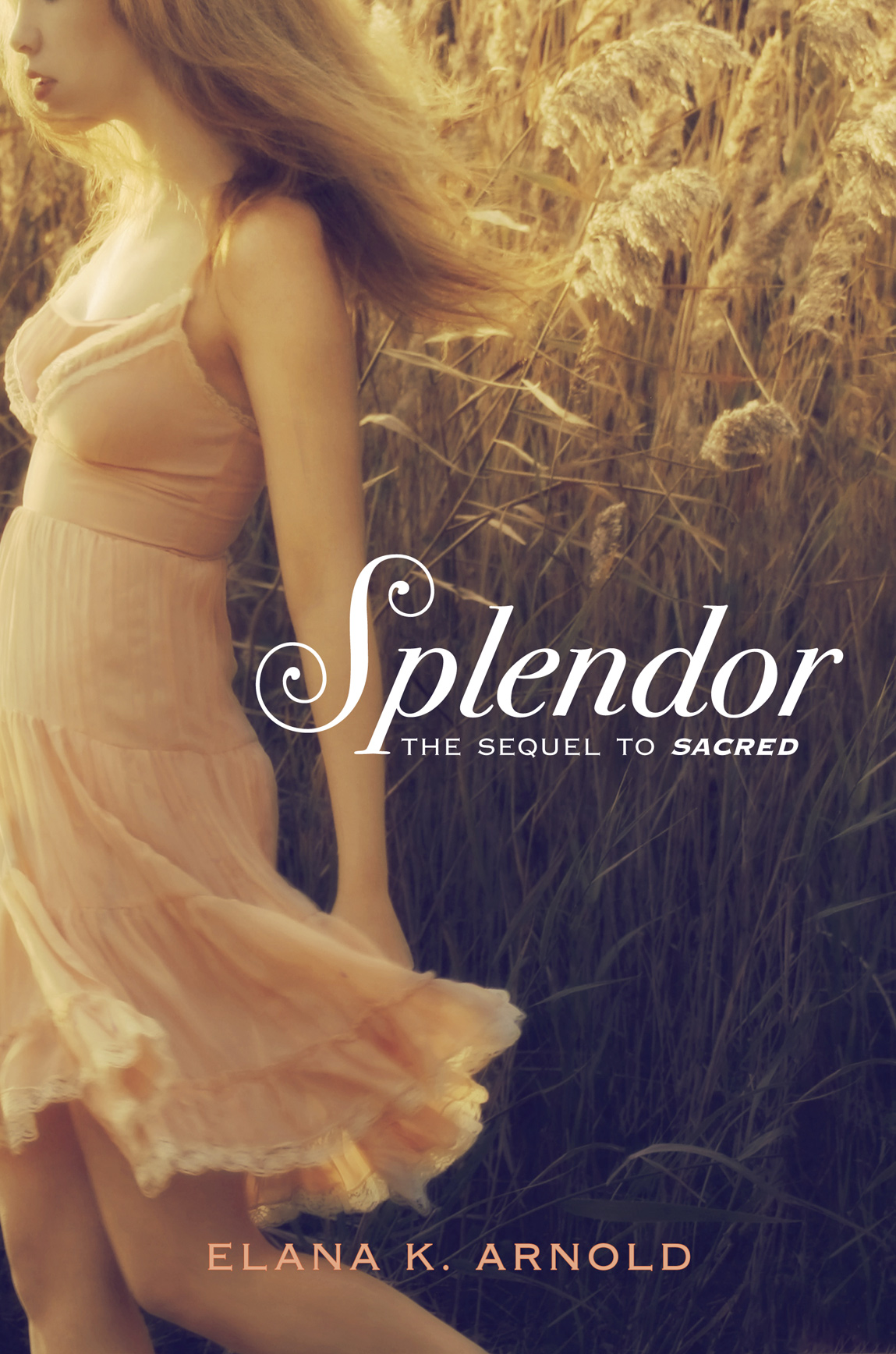 Splendor Elana K Arnold