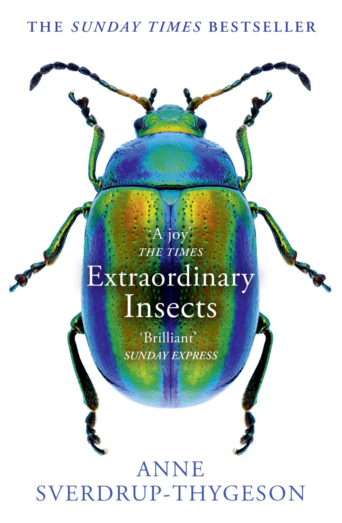 Extraordinary Insects Anne Sverdrupthygeson
