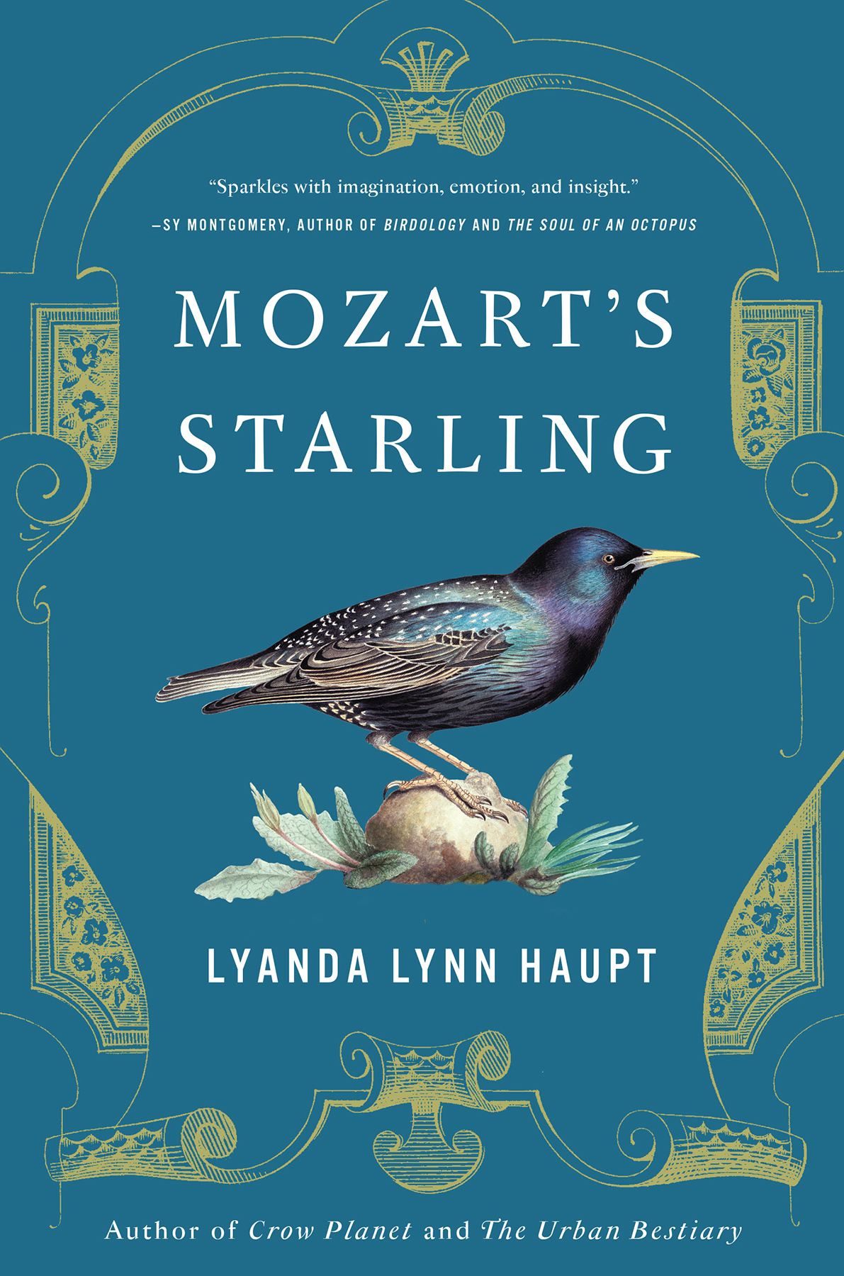 Mozarts Starling Lyanda Lynn Haupt
