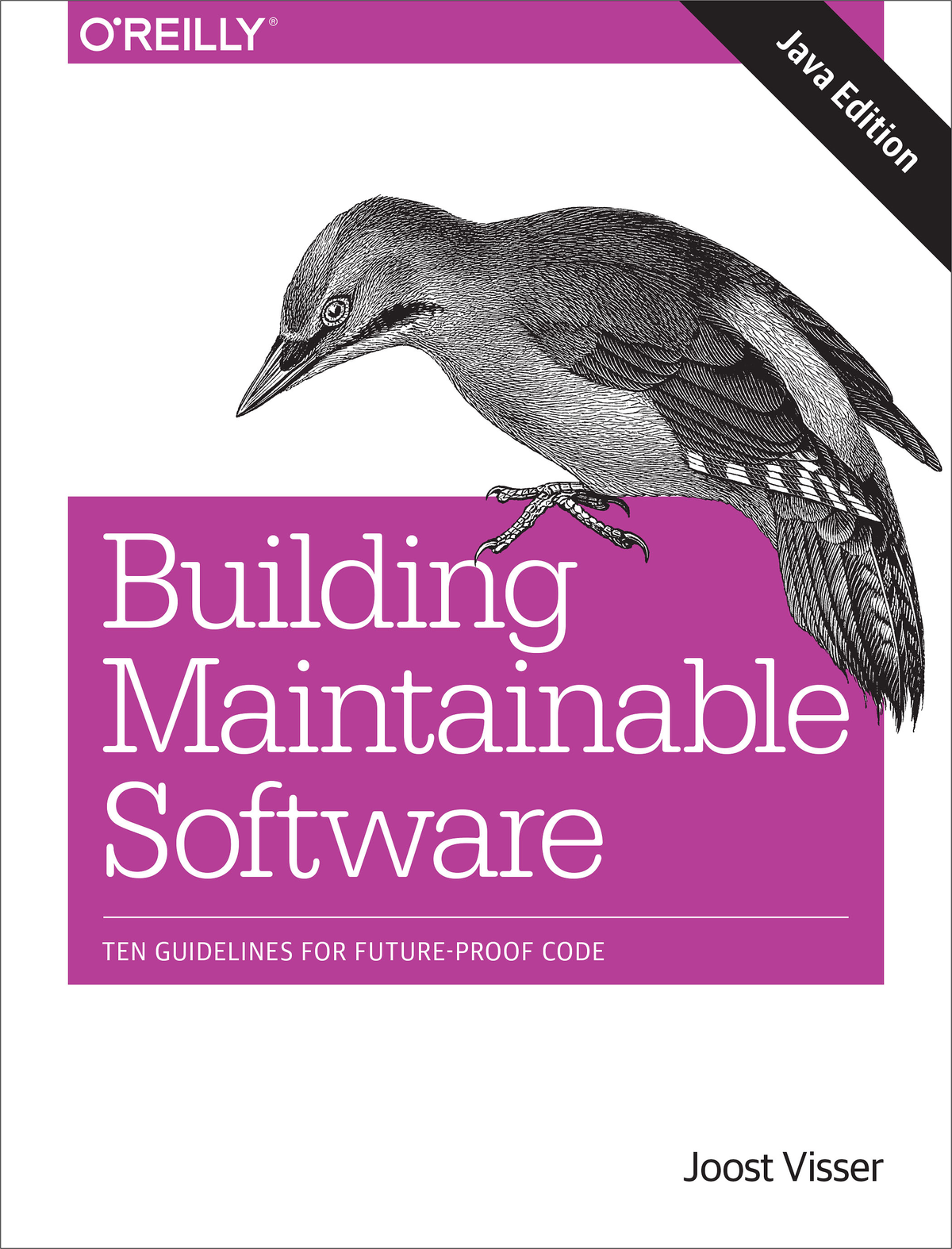 Building Maintainable Software Java Edition Joost Visser