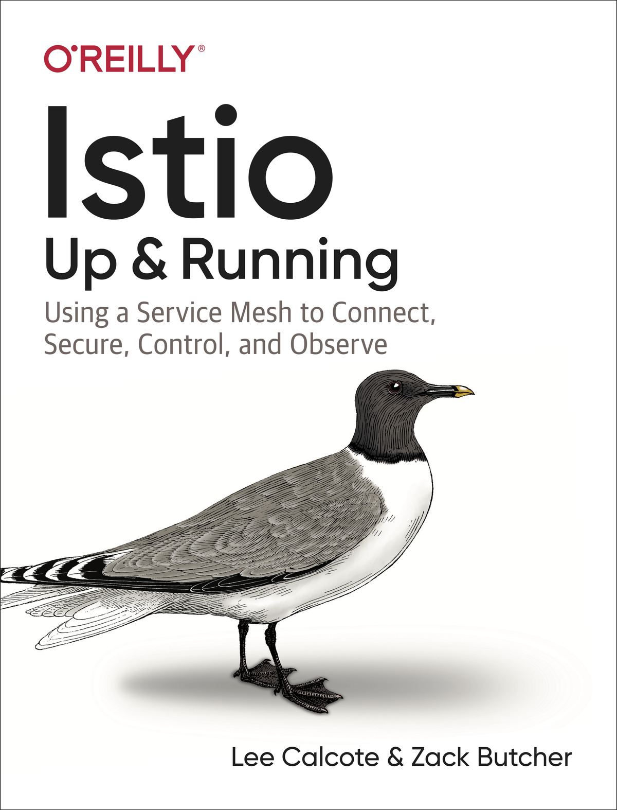 Istio Lee Calcote