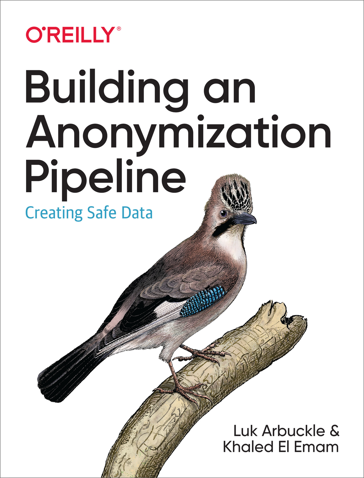 Building An Anonymization Pipeline Luk Arbuckle