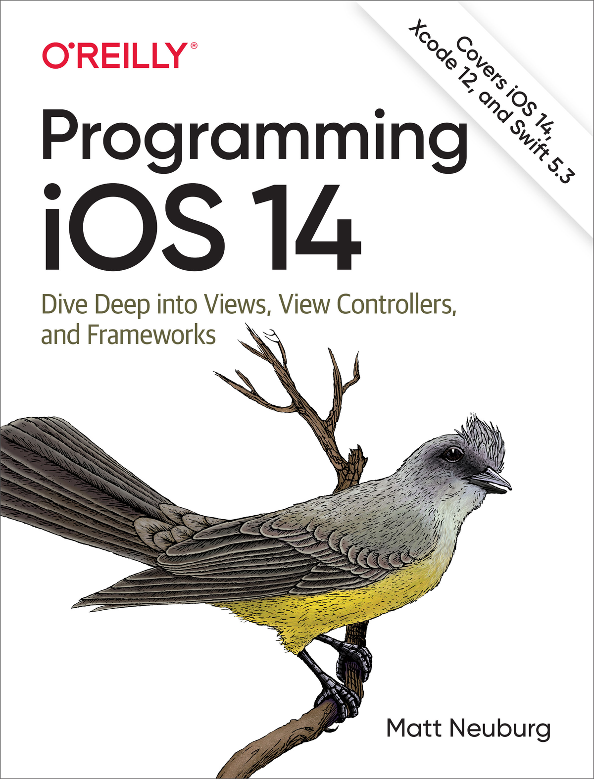 Programming Ios 14 Matt Neuburg