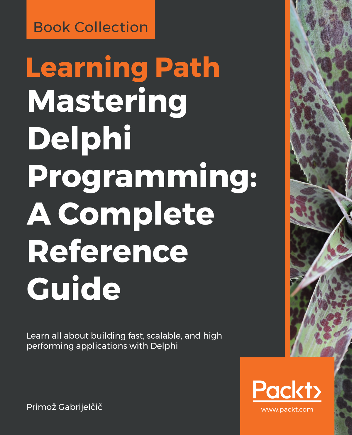 Mastering Delphi Programming A Complete Reference Guide Primo Gabrijeli
