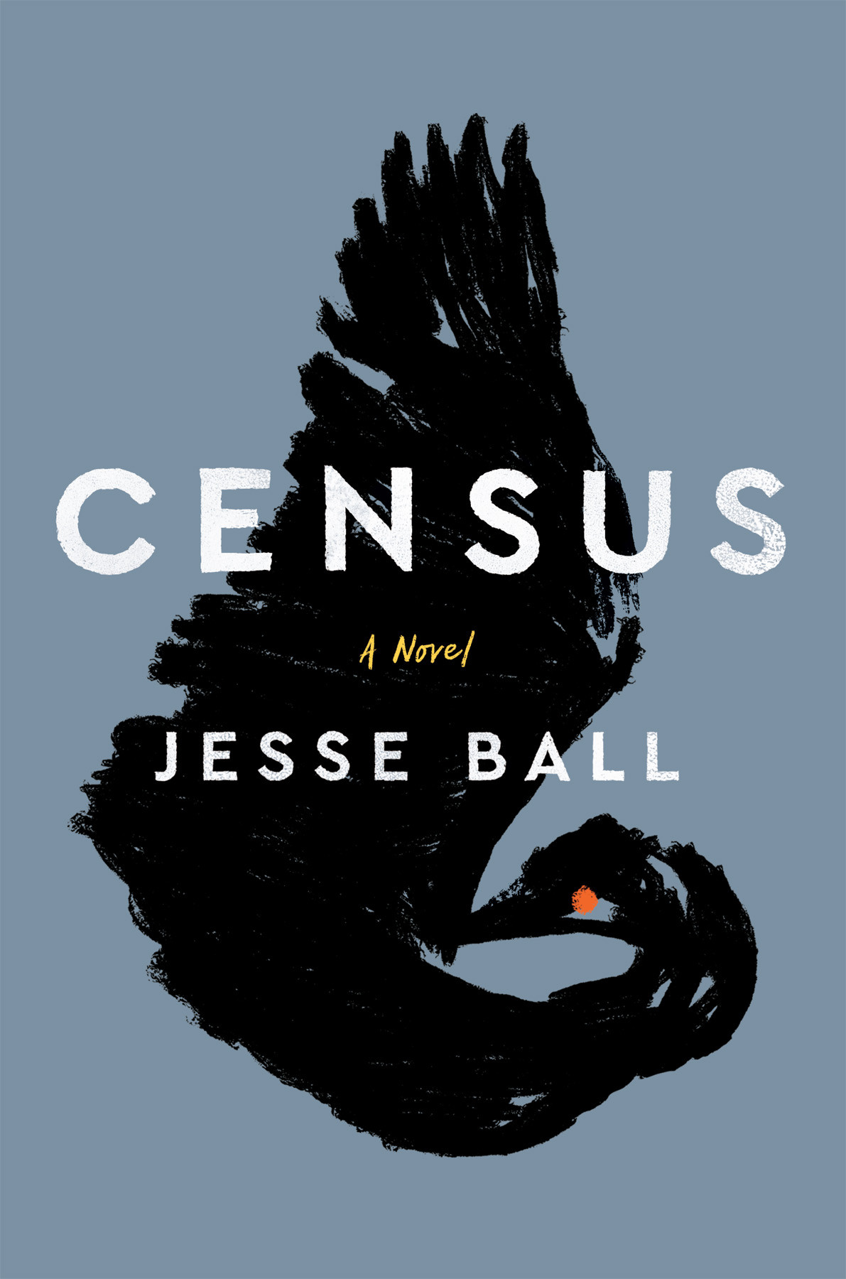 Census Jesse Ball
