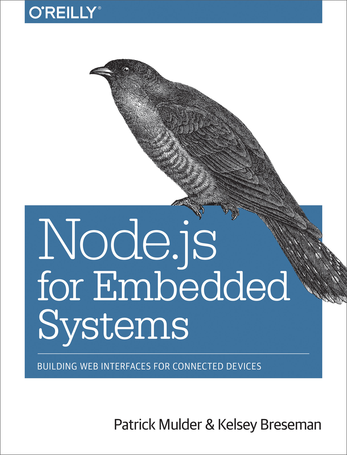 Nodejs For Embedded Systems Patrick Mulder