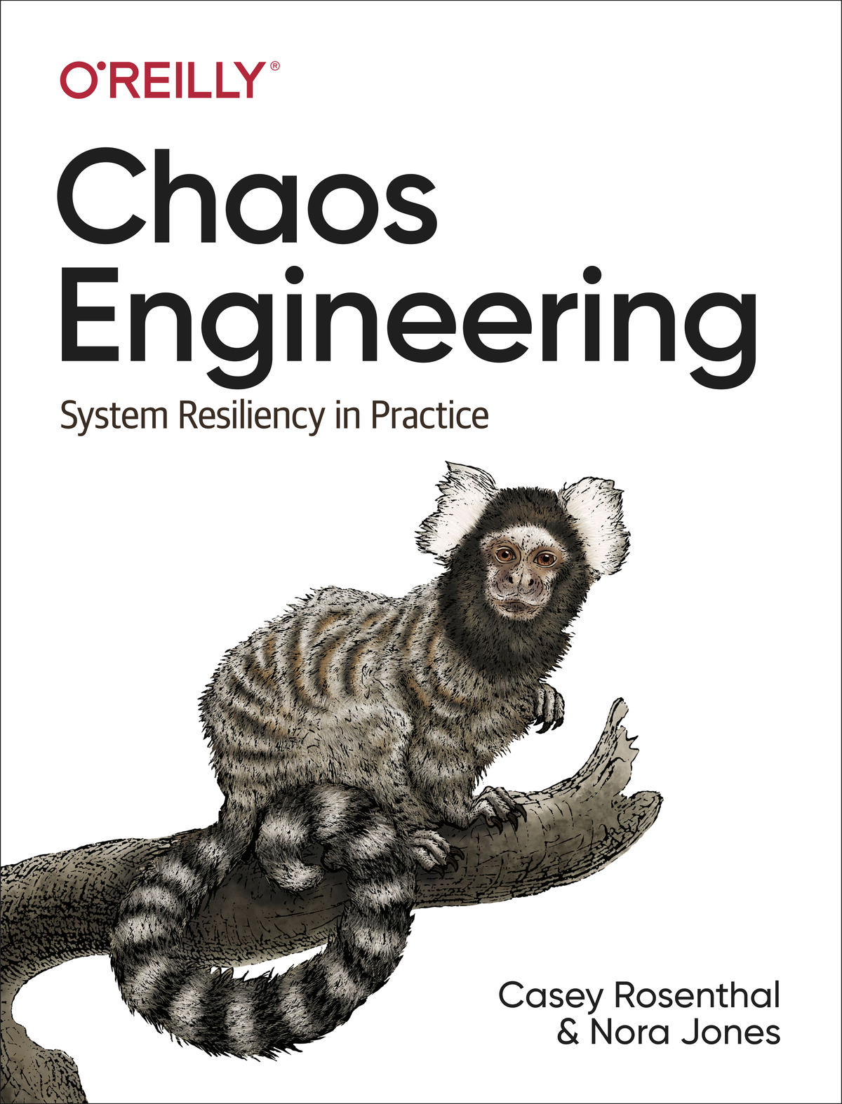Chaos Engineering Casey Rosenthal