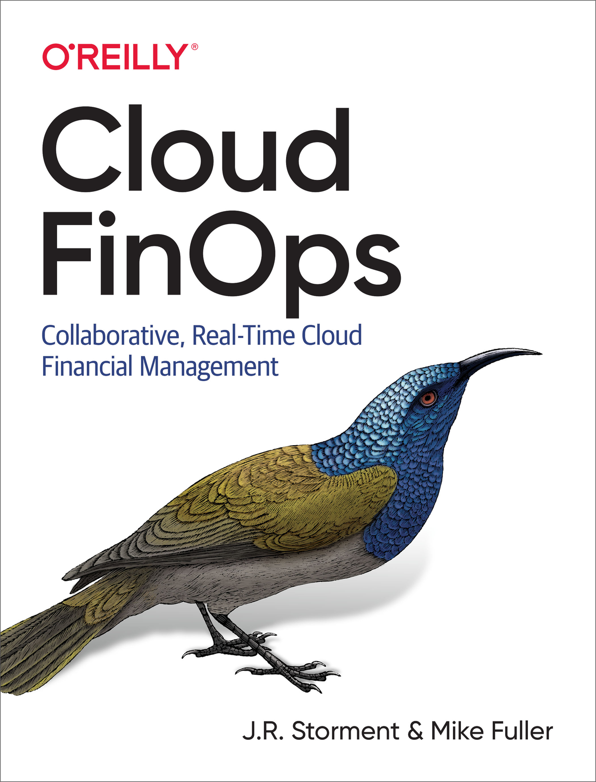 Cloud Finops Jr Storment