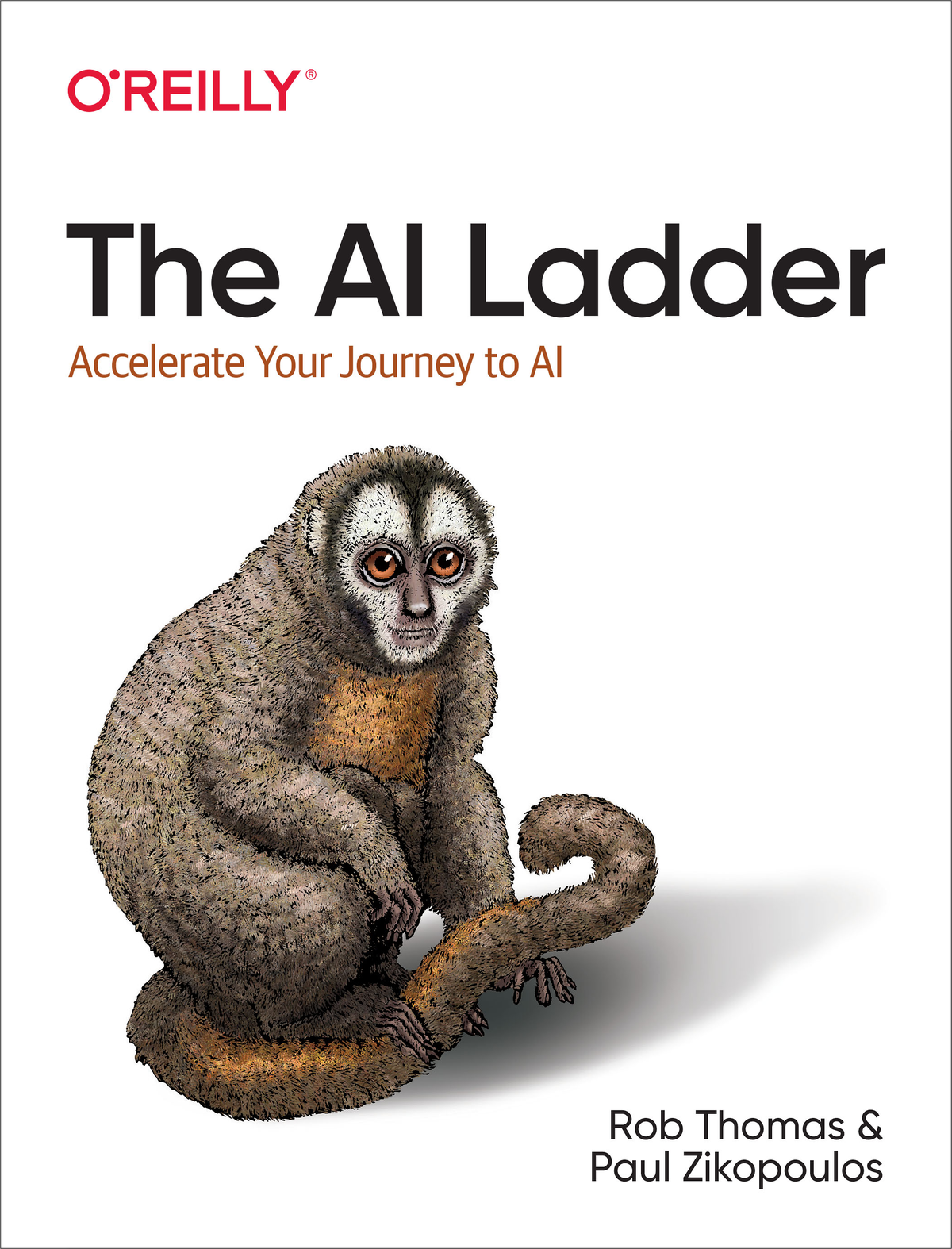The Ai Ladder Rob Thomas