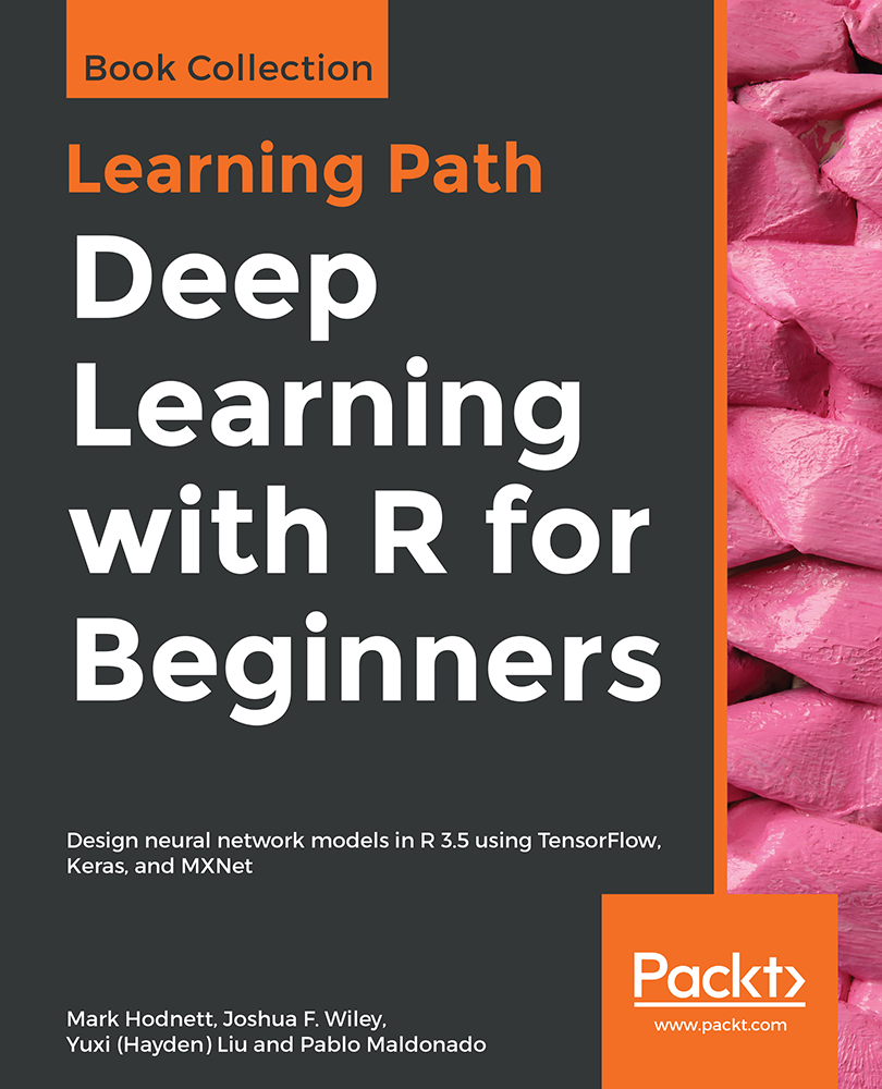 Deep Learning With R For Beginners Mark Hodnett