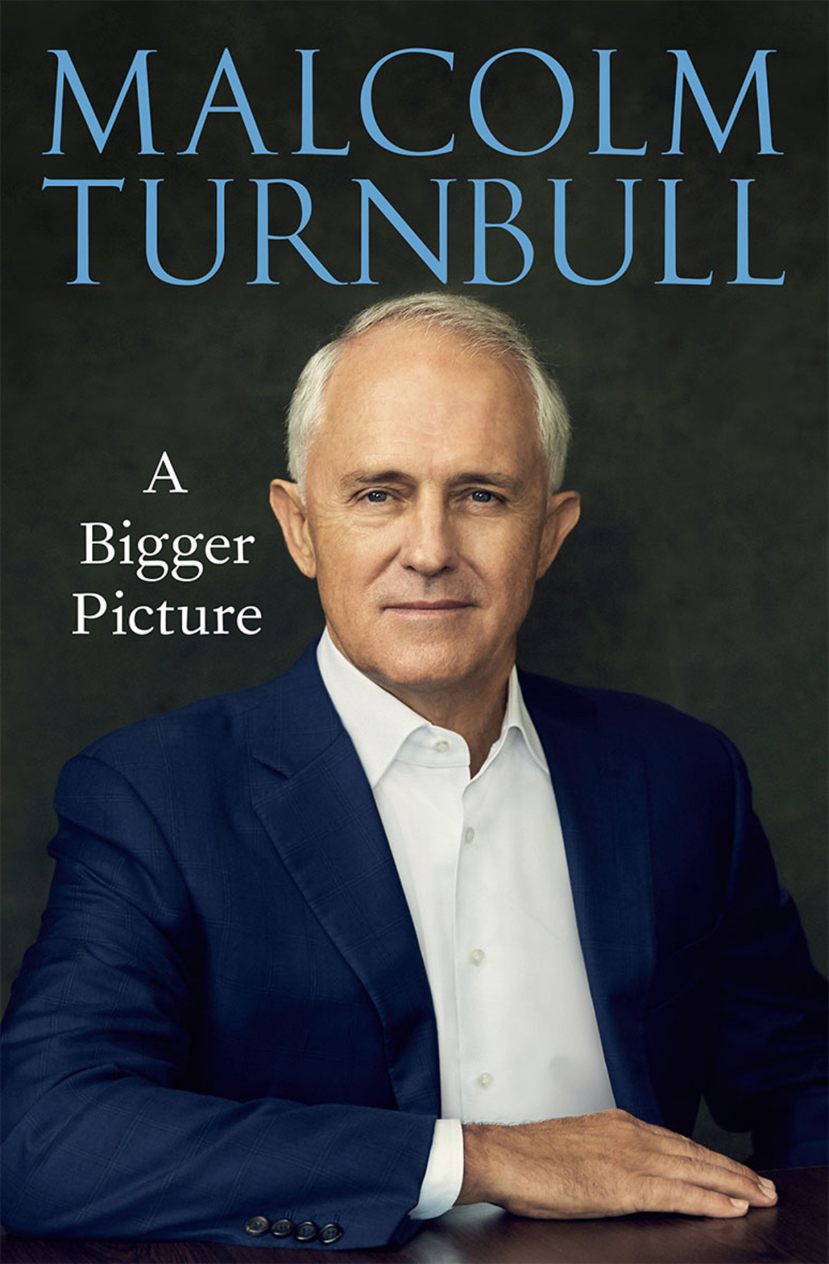 A Bigger Picture Malcolm Turnbull