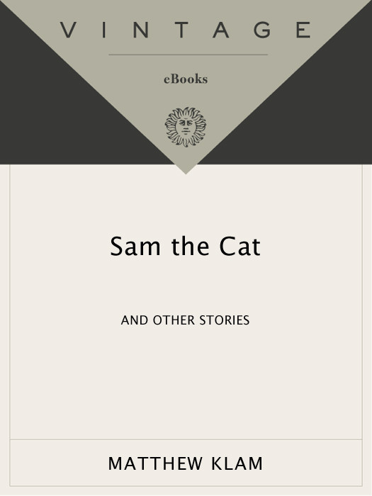 Sam The Cat Matthew Klam