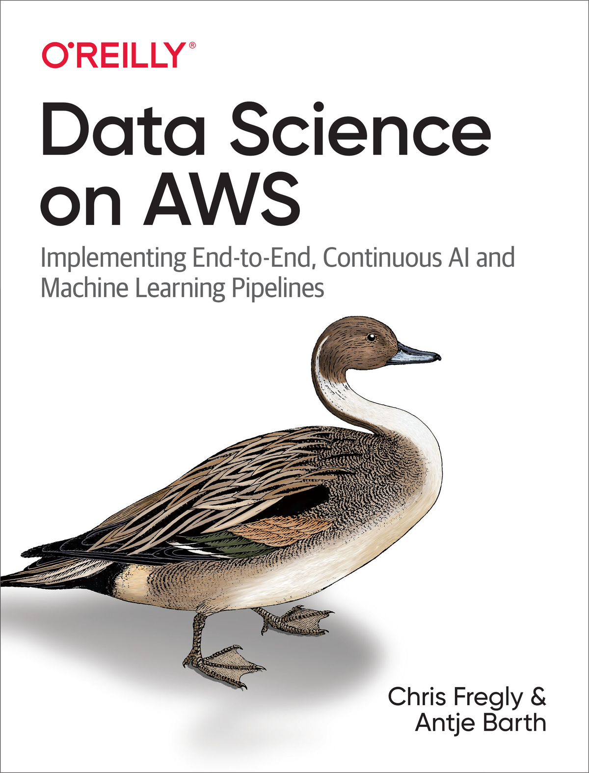 Data Science On Aws Chris Fregly