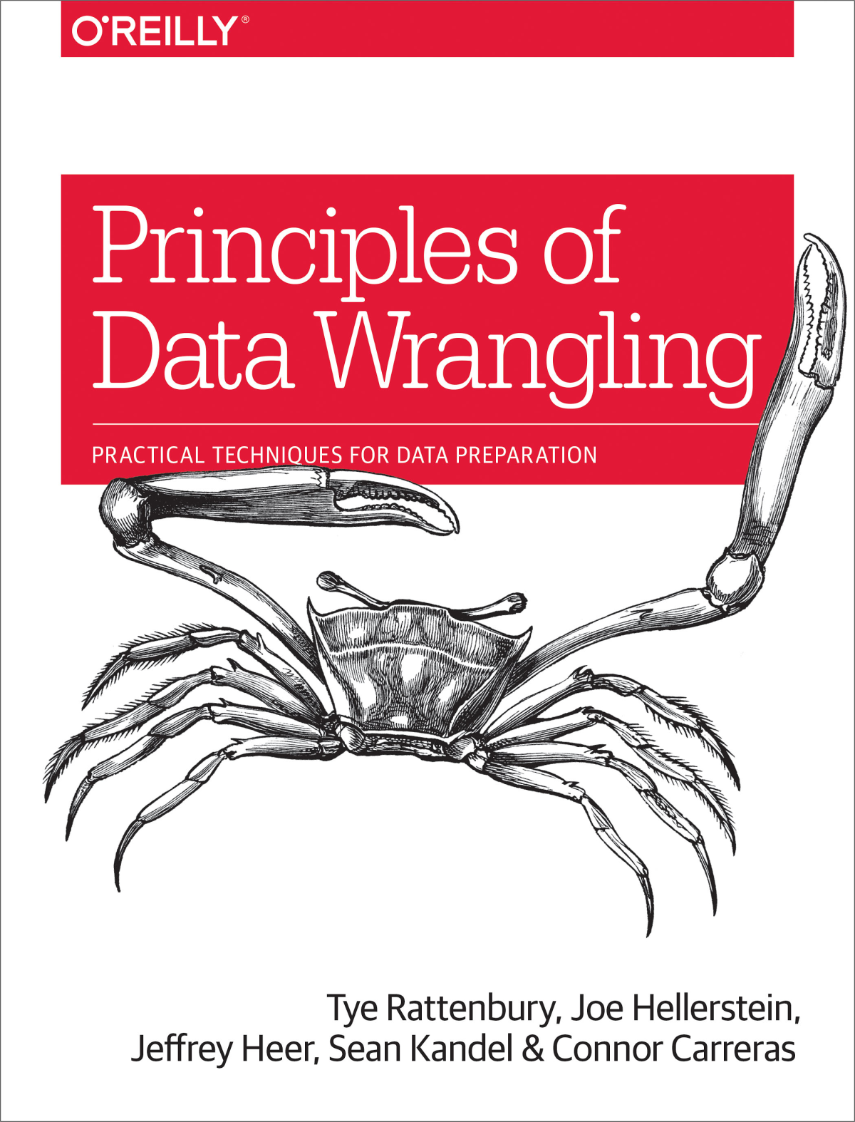 Principles Of Data Wrangling Tye Rattenbury