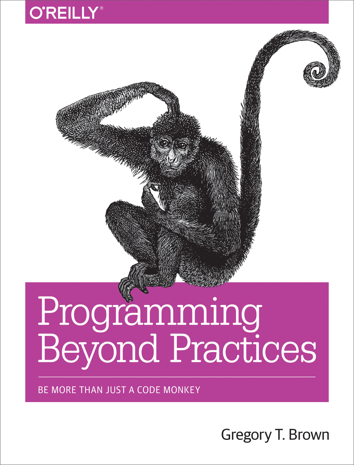 Programming Beyond Practices Gregory T Brown