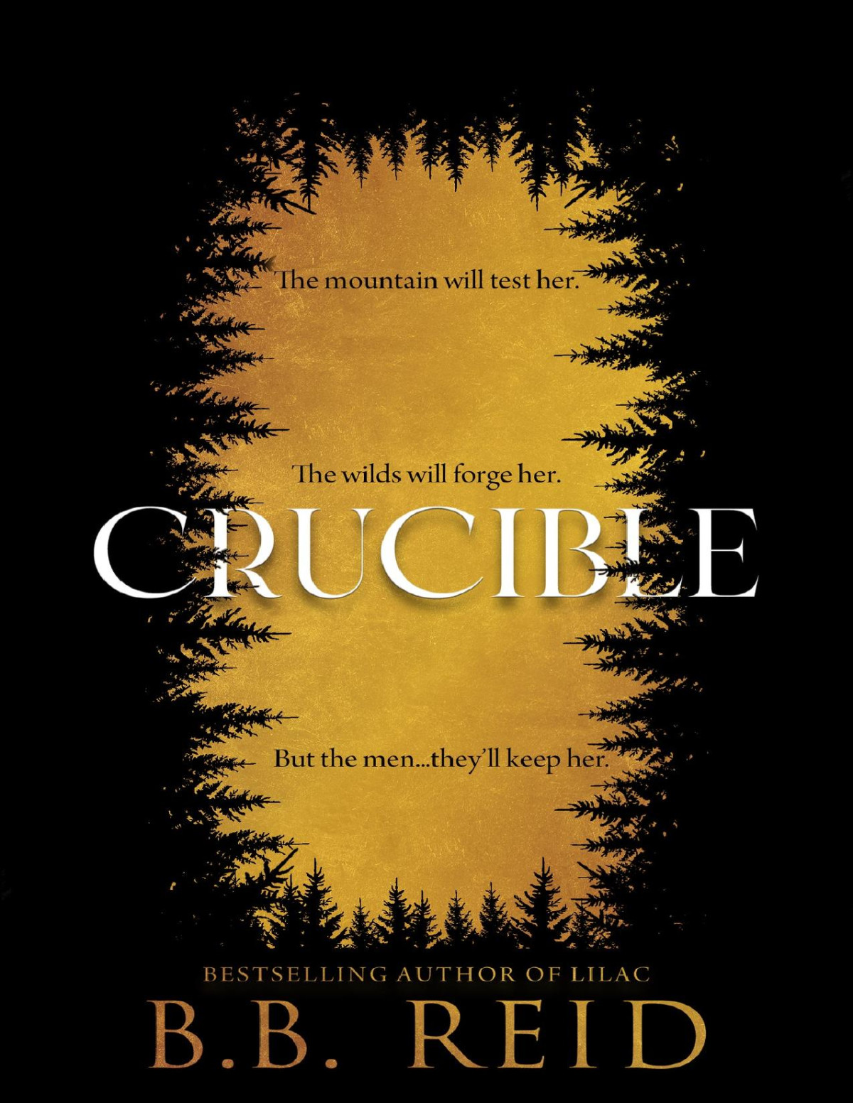 Crucible A Dark Enemiestolovers Romance Bb Reid