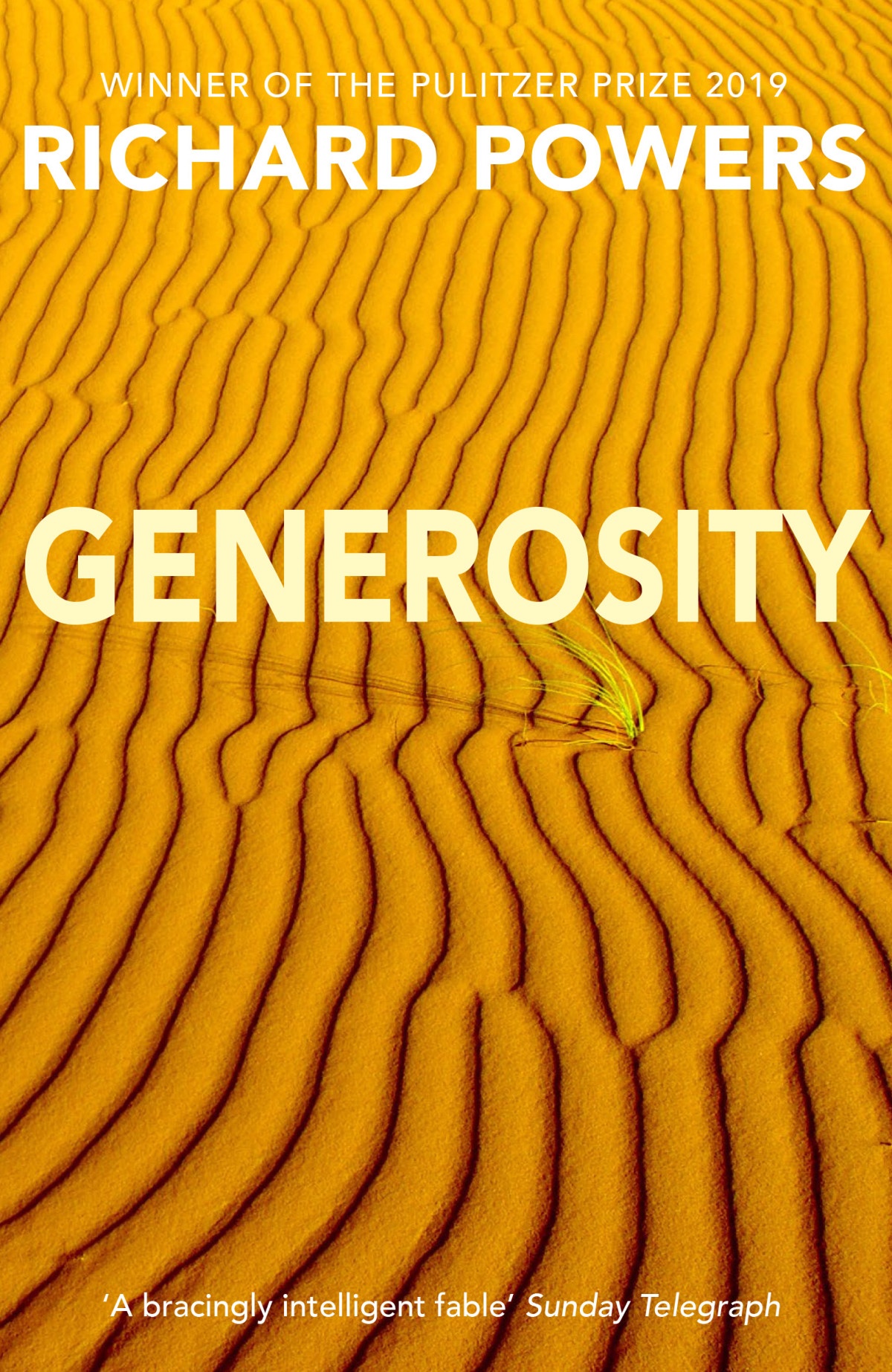 Generosity Richard Powers