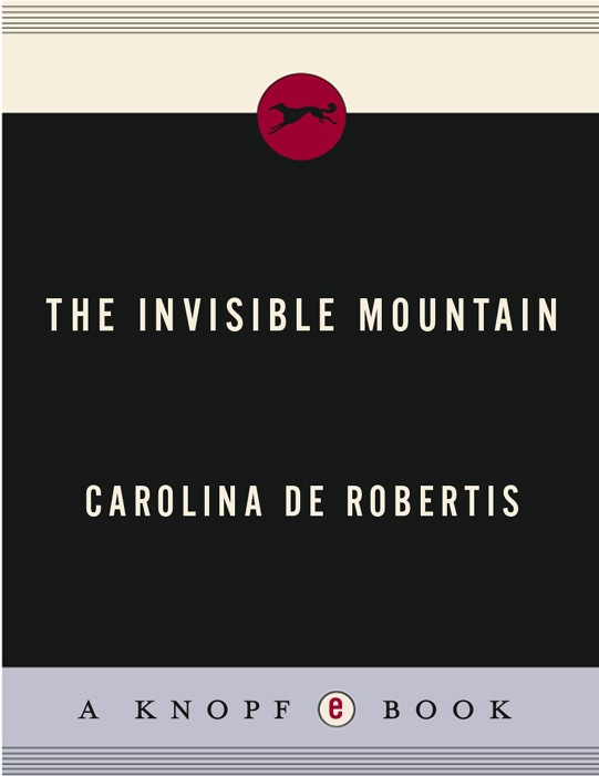 The Invisible Mountain Carolina De Robertis