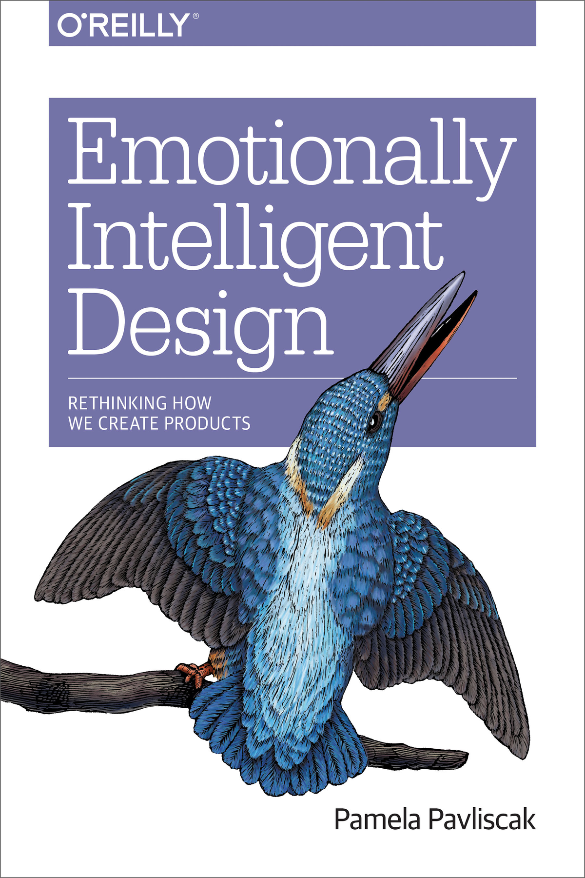 Emotionally Intelligent Design Pamela Pavliscak