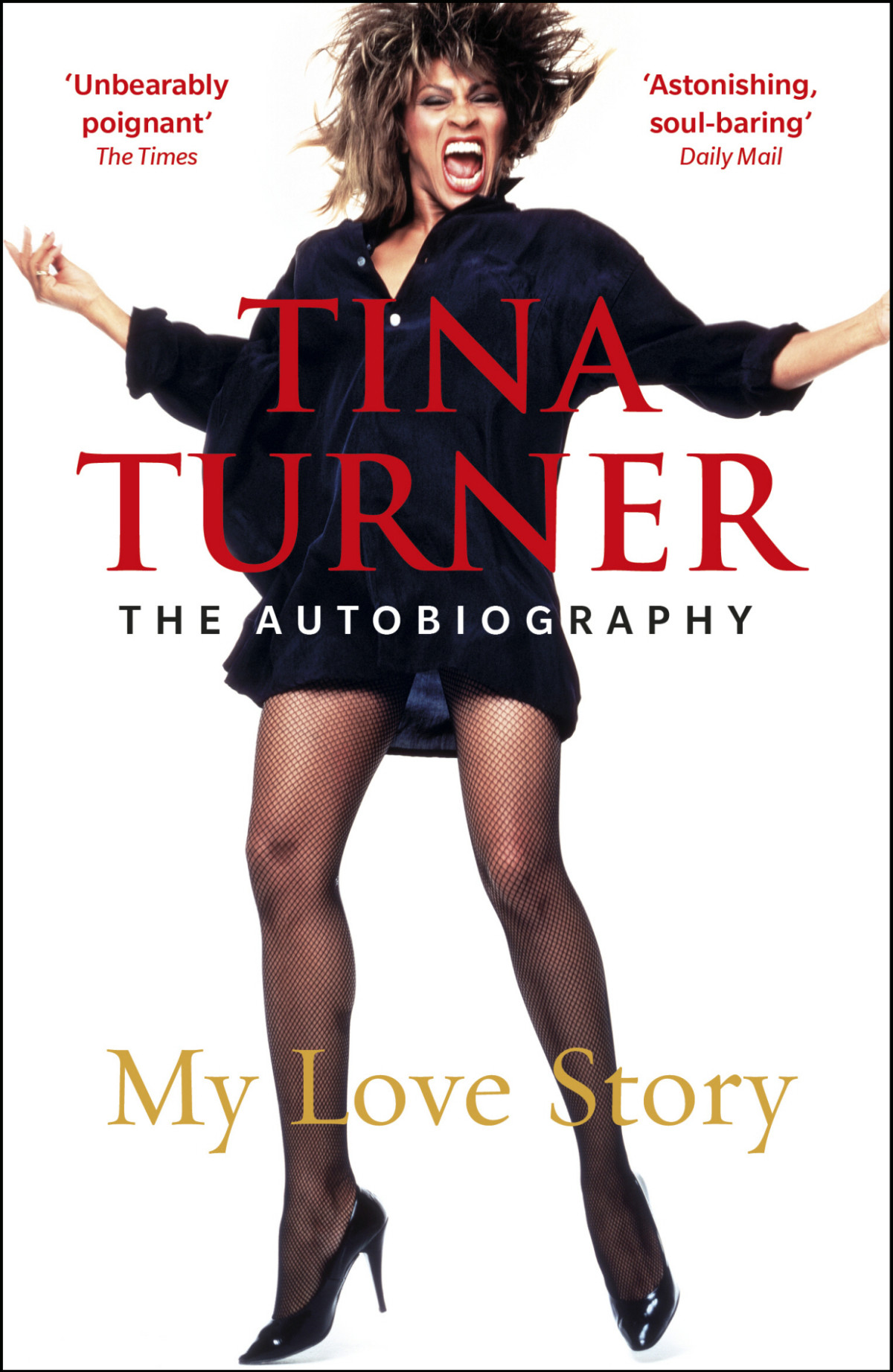My Love Story Tina Turner