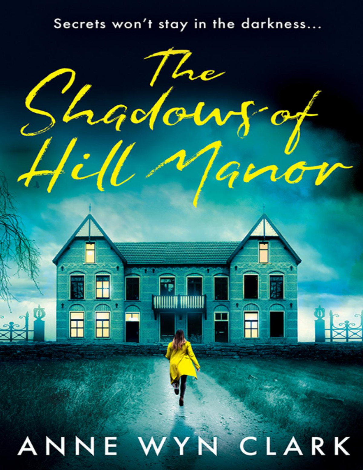 The Shadows Of Hill Manor Anne Wyn Clark