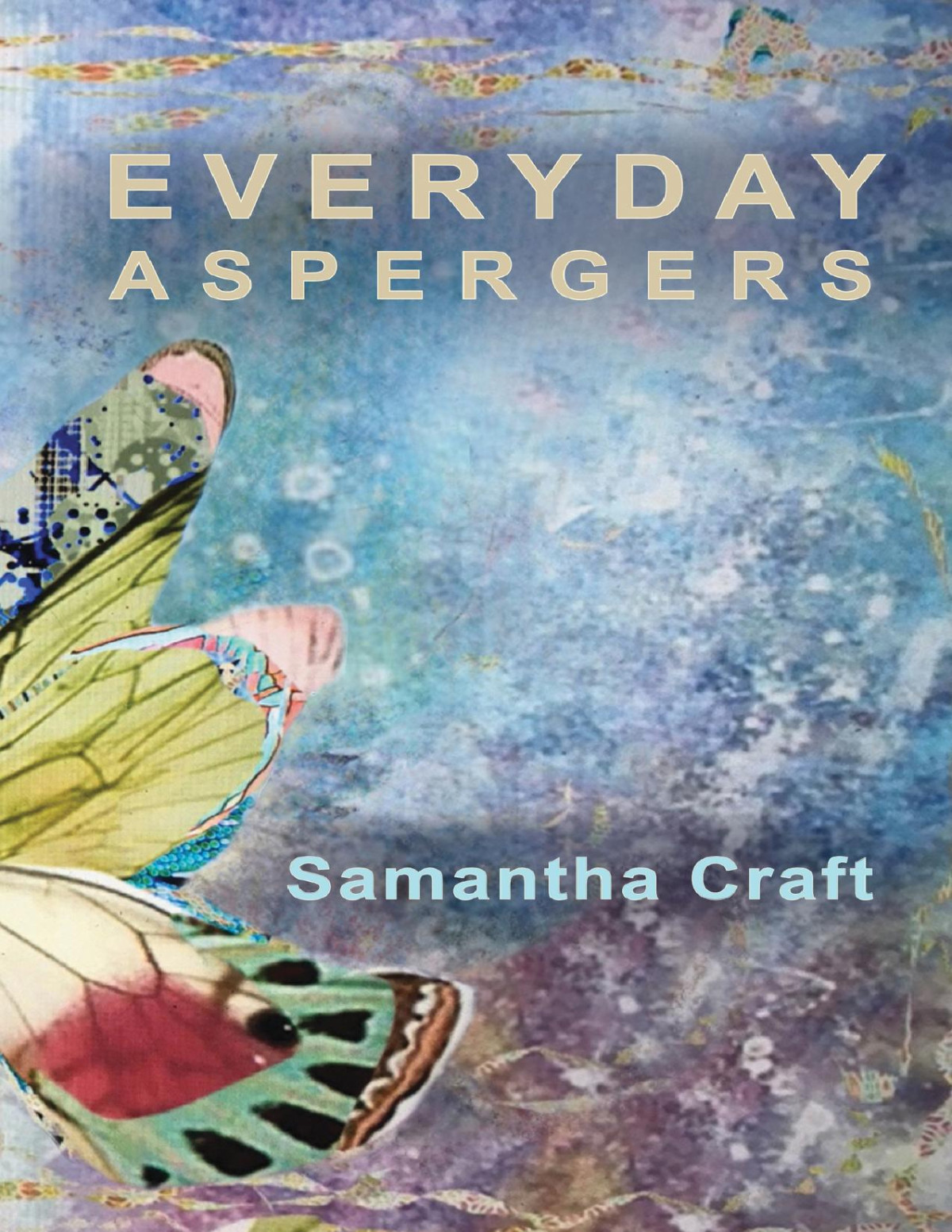 Everyday Aspergers A Journey On The Autism Spectrum 2nd Samantha Craft