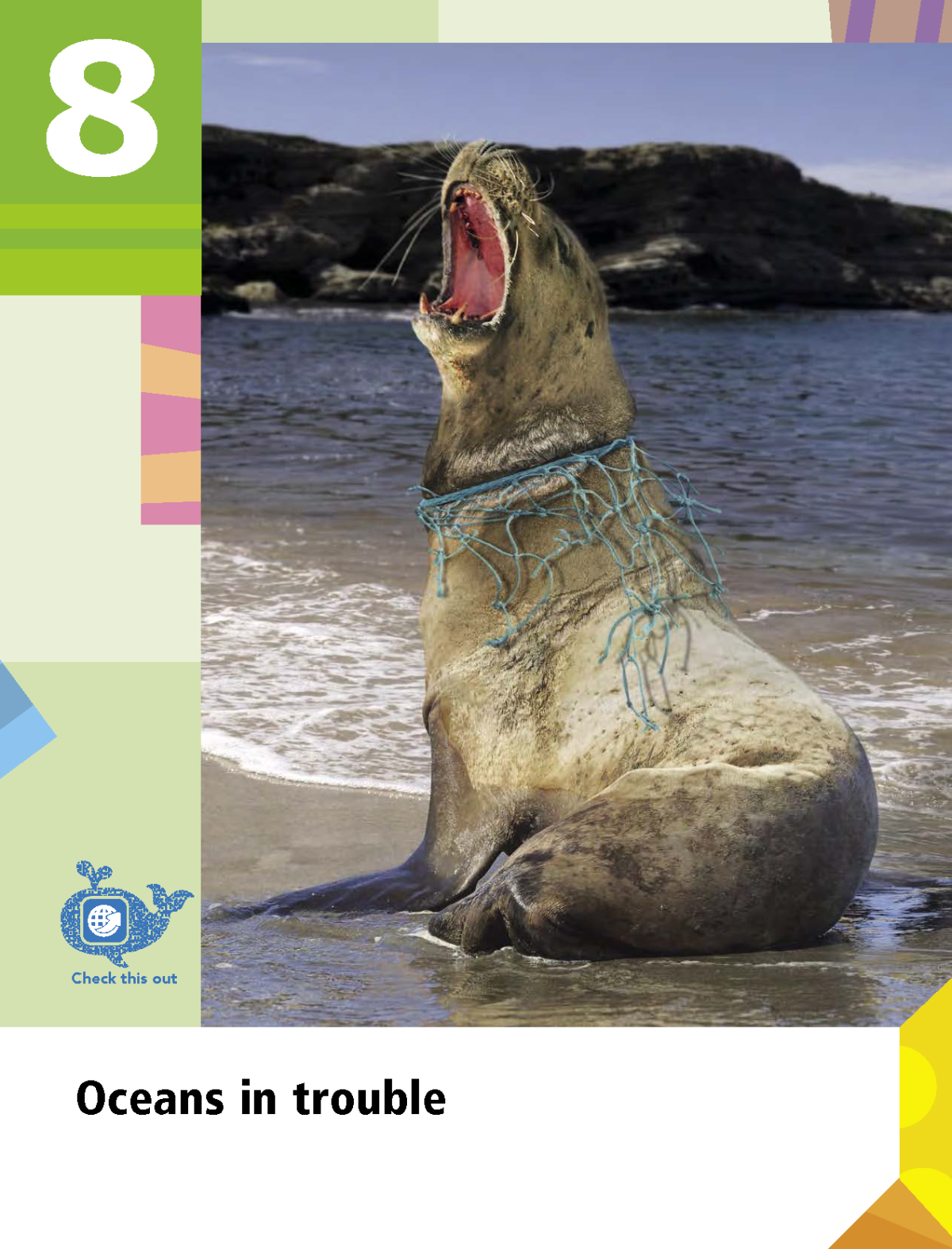 Junior Secondary Exploring Geography Book 8 Elective Oceans In Trouble 2nd Edition Ip Lam Wong Tsui H