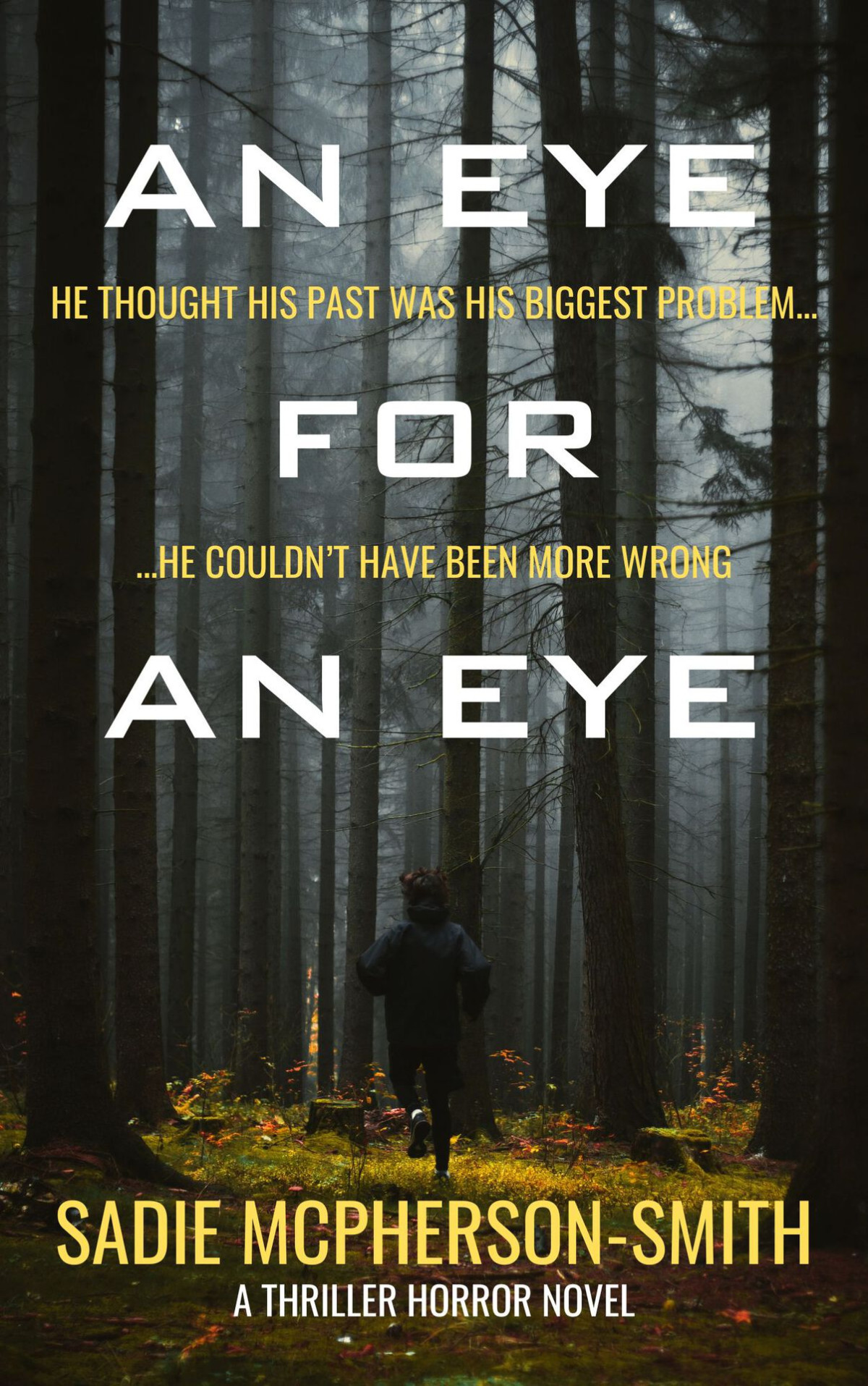 An Eye For An Eye A Mystery Thriller Novel Sadie Mcpherson Smith