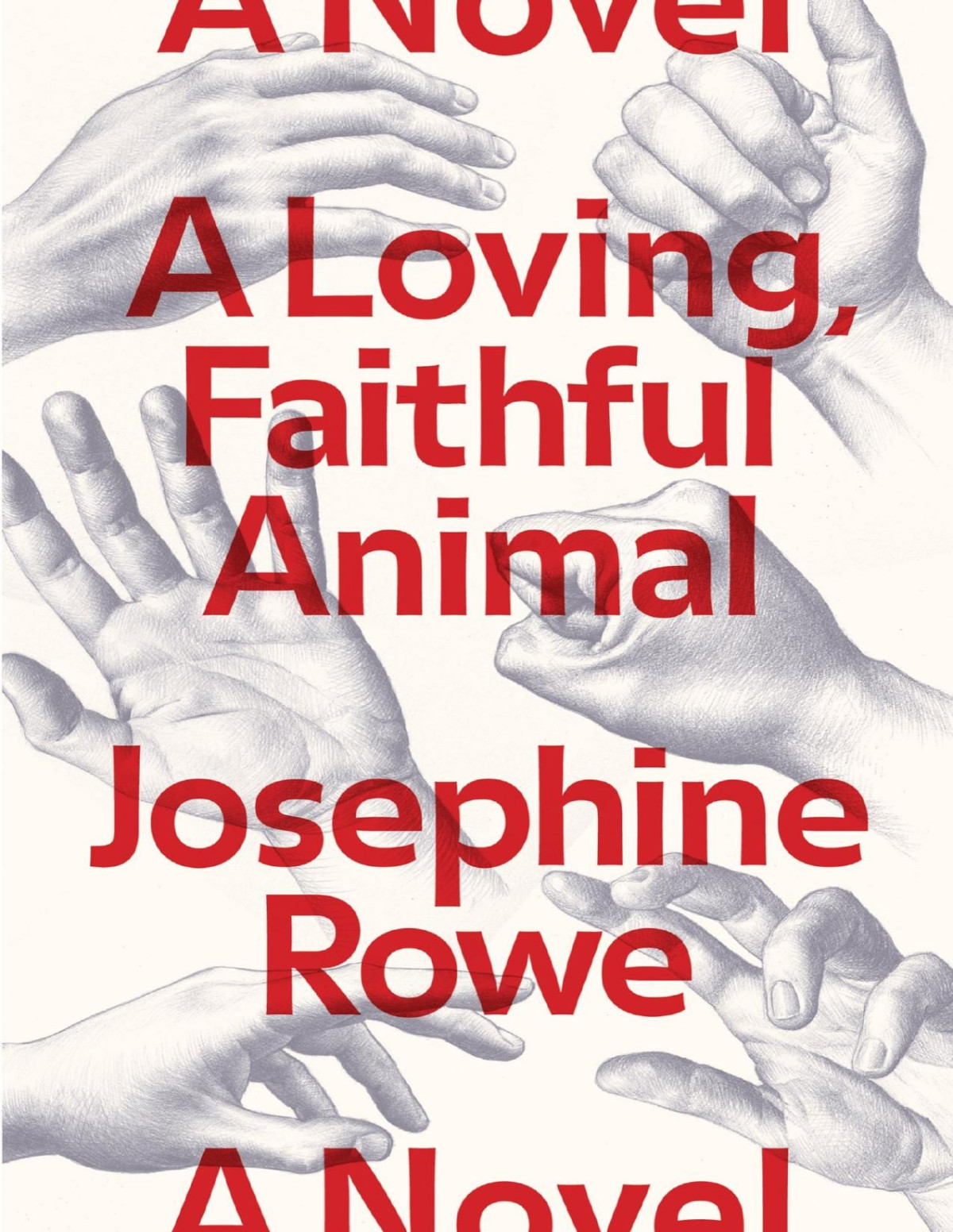 A Loving Faithful Animal Josephine Rowe
