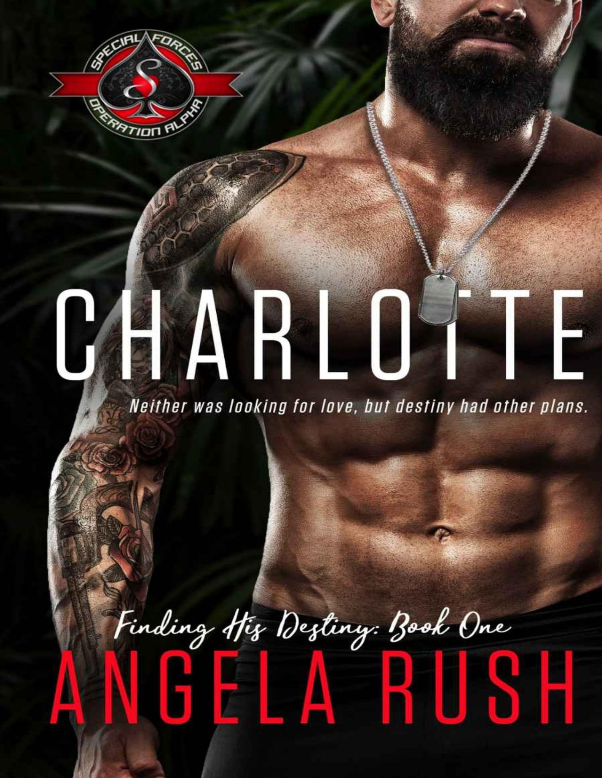 Charlotte Special Forces Operation Alpha Finding His Destiny Book One Rush