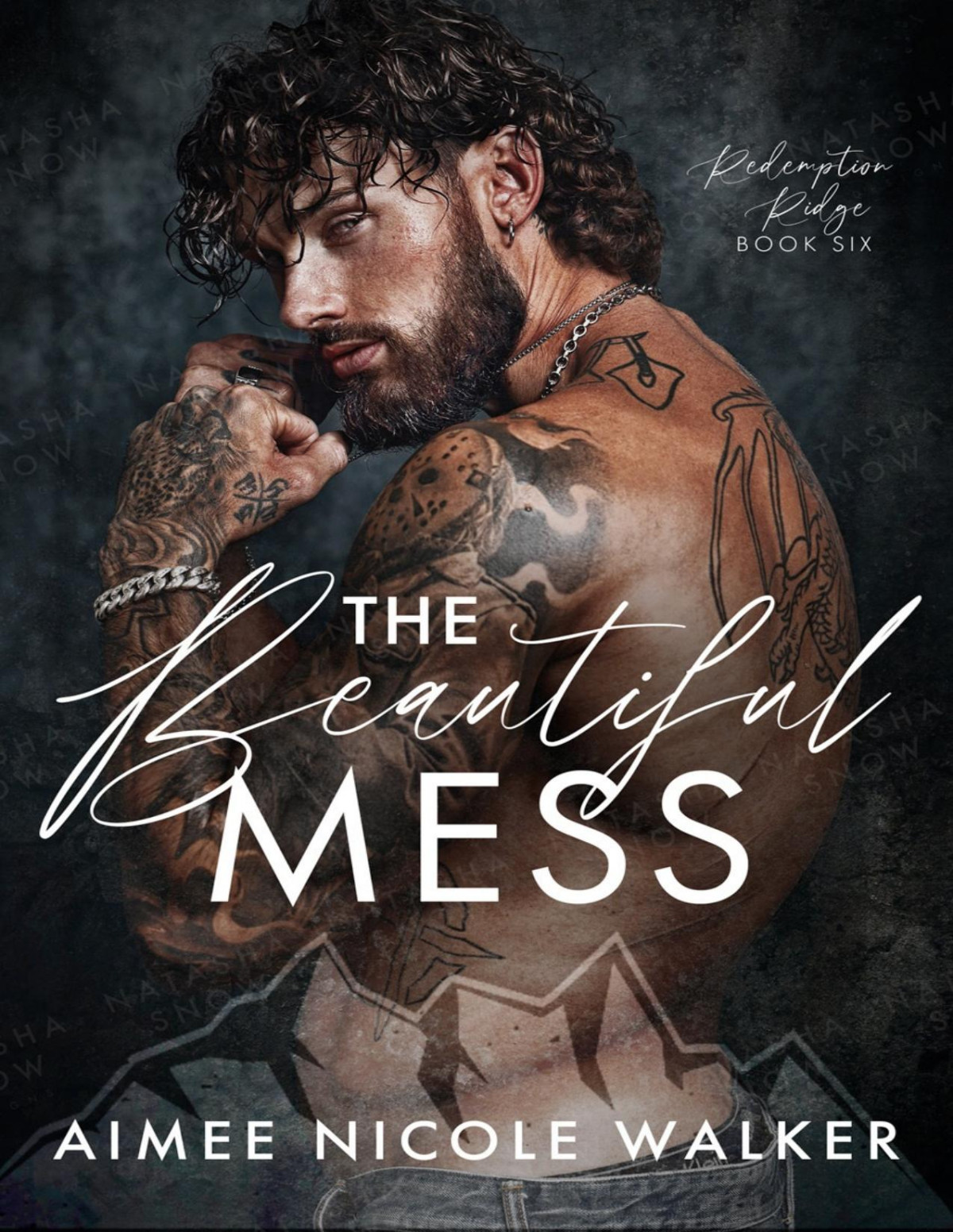 The Beautiful Mess Redemption Ridge Book Six Aimee Nicole Walker