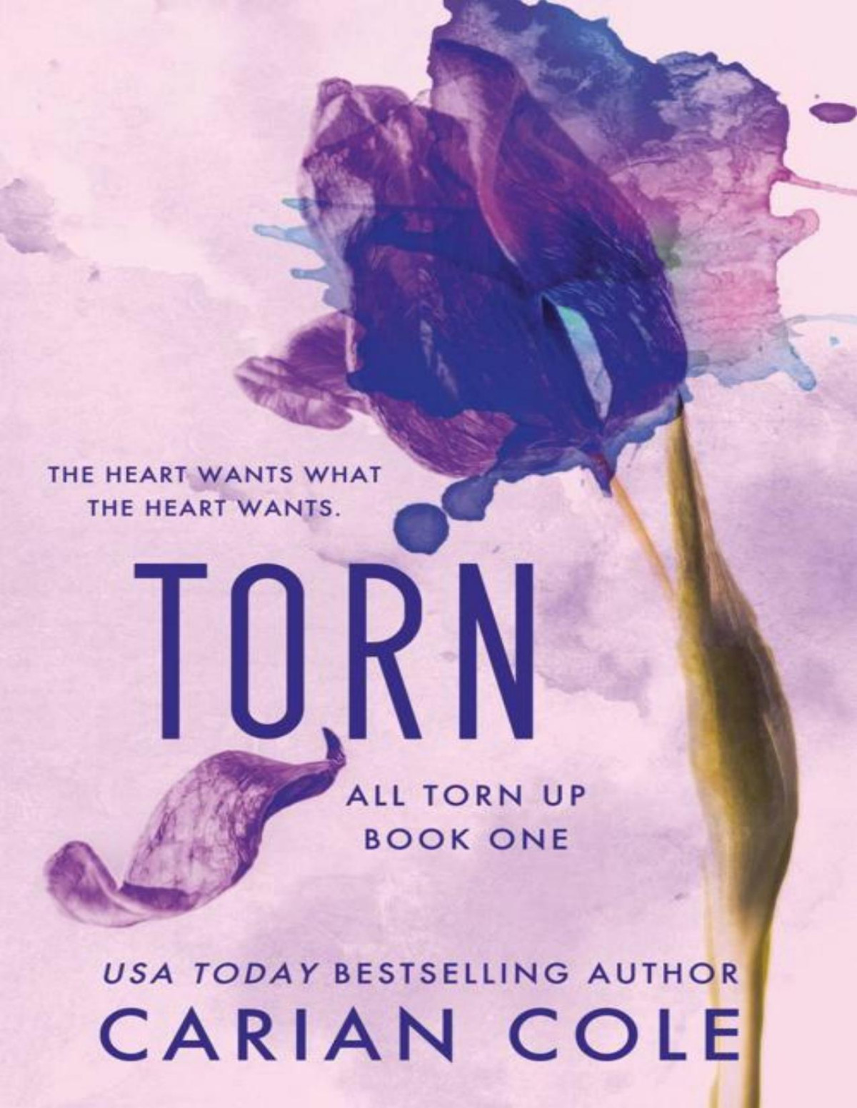 Torn All Torn Up Book 1 Unknown
