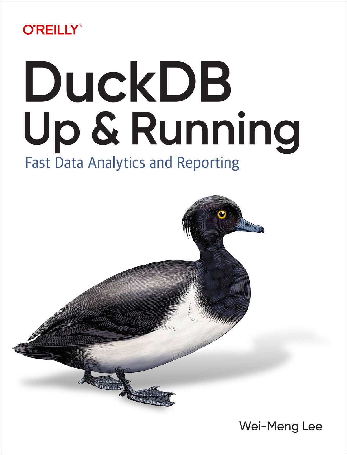 Duckdb Weimeng Lee