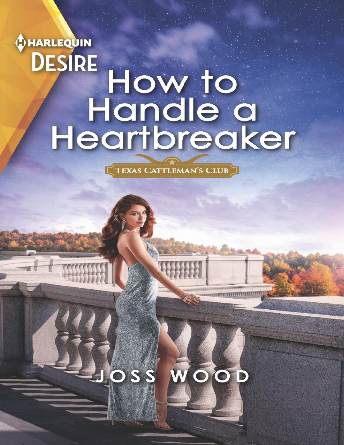 How To Handle A Heartbreakeran Opposites Attract Older Man Romance Joss Wood
