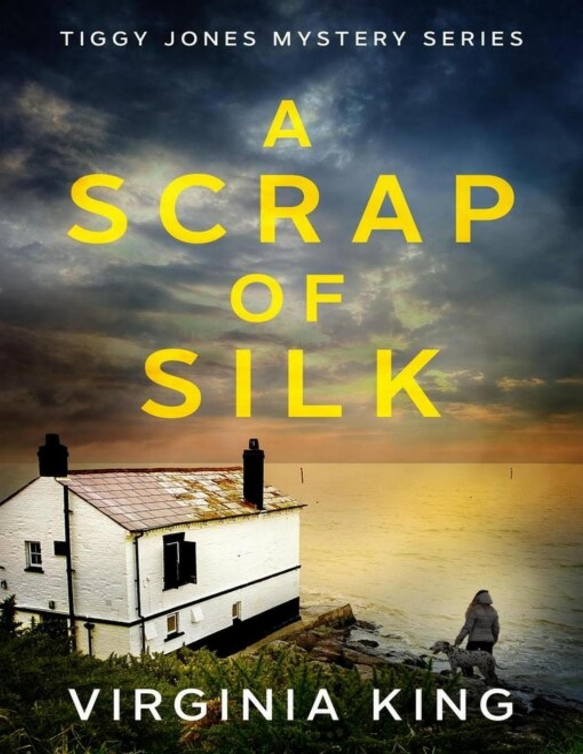 A Scrap Of Silk Virginia King