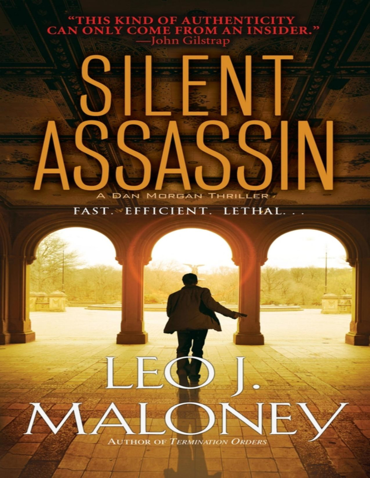 Silent Assassin Leo J Maloney