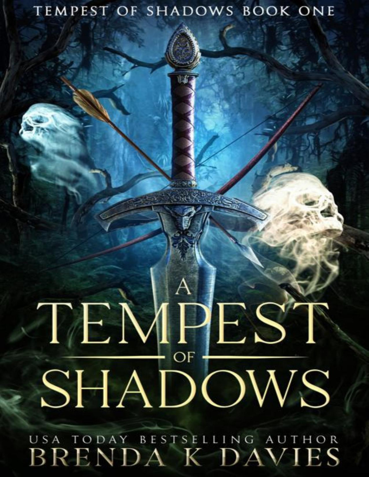 A Tempest Of Shadows Tempest Of Shadows Book 1 Brenda K Davies