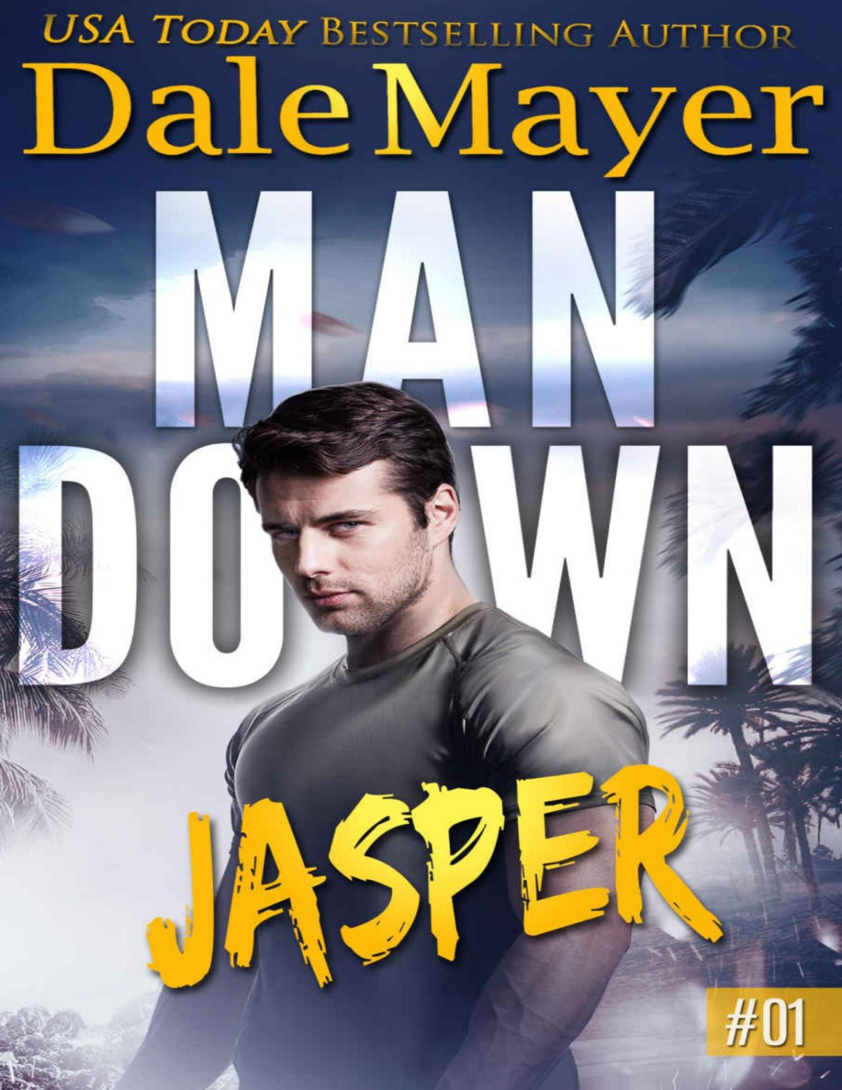 Jasper Man Down Book 1 Dale Mayer
