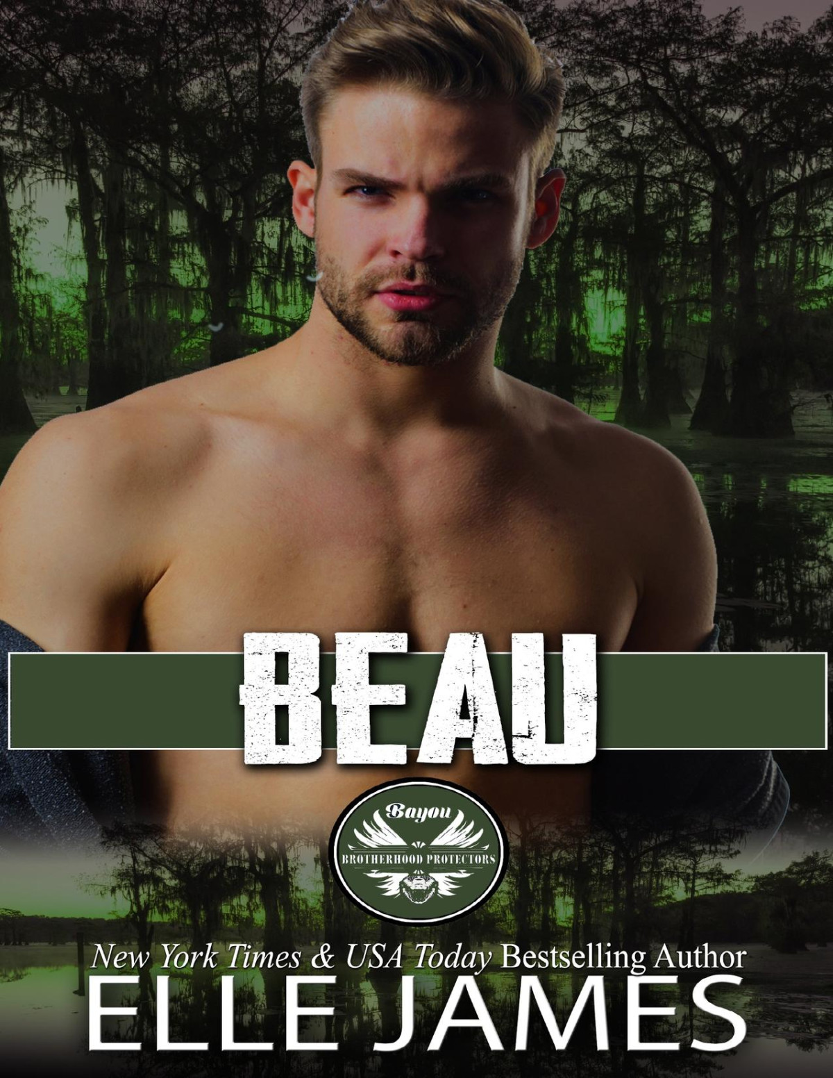 Beau Bayou Brotherhood Protectors Book 4 Elle James