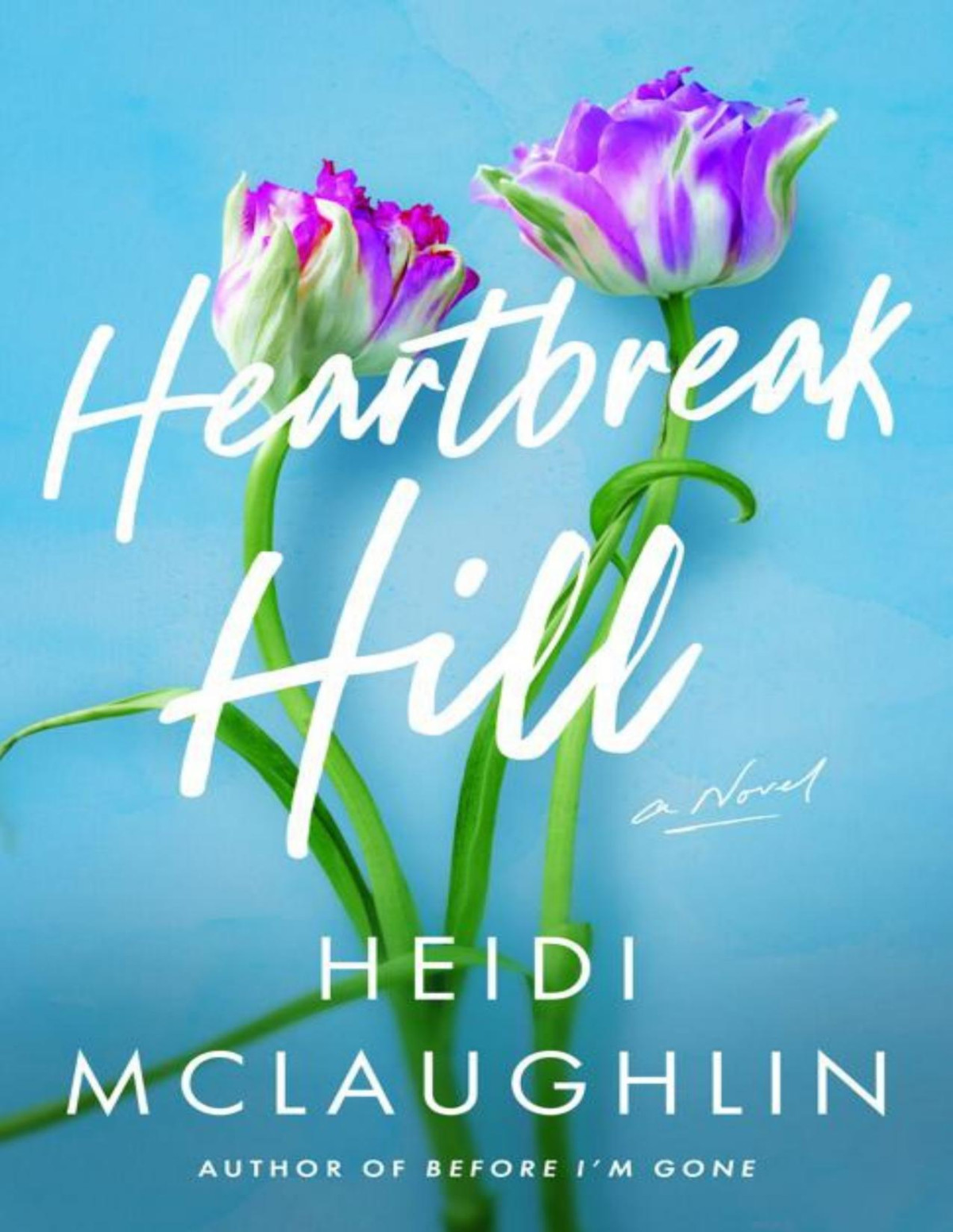 Heartbreak Hill A Novel Heidi Mclaughlin