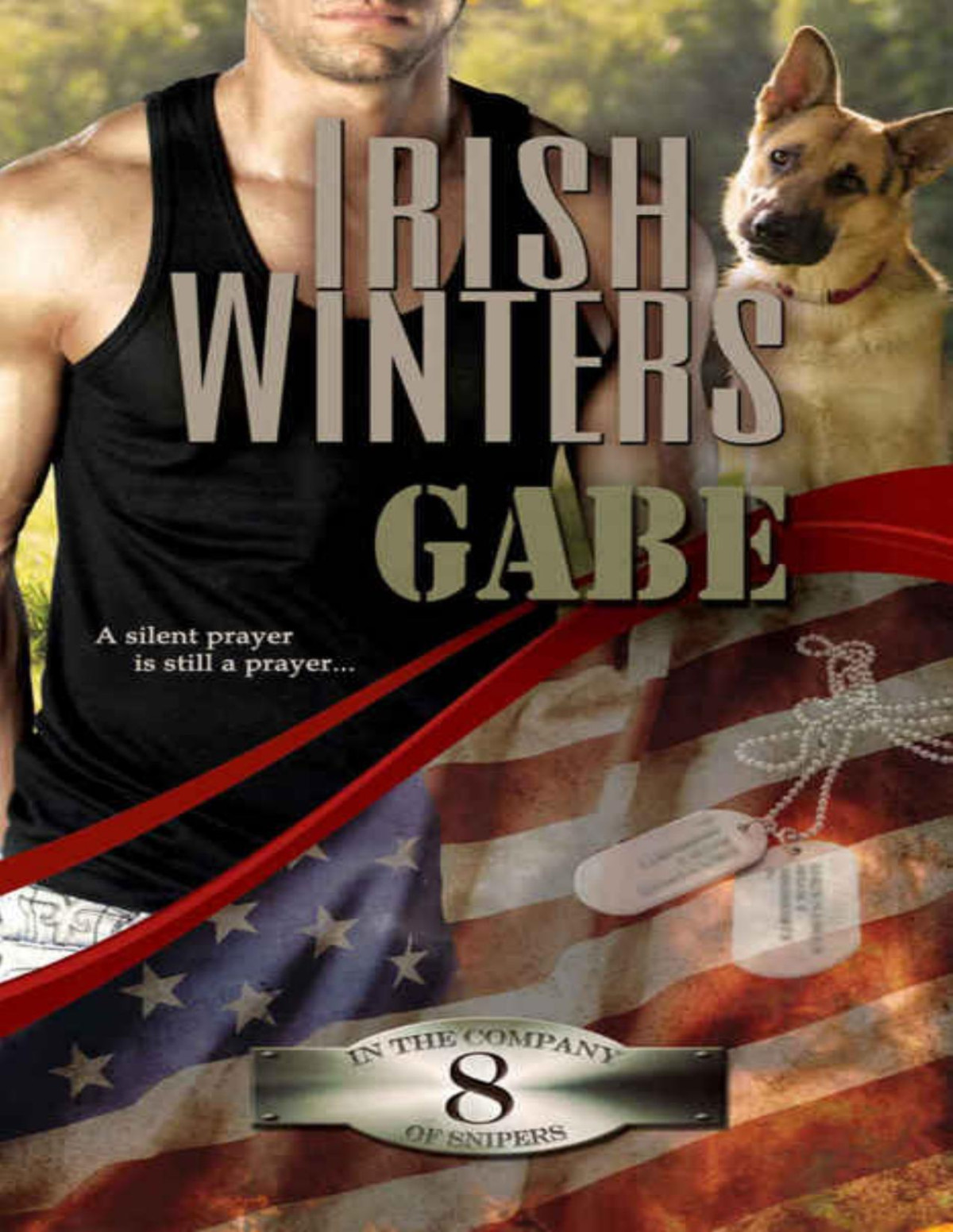 Gabe In The Company Of Snipers Book 8 Winters Irish