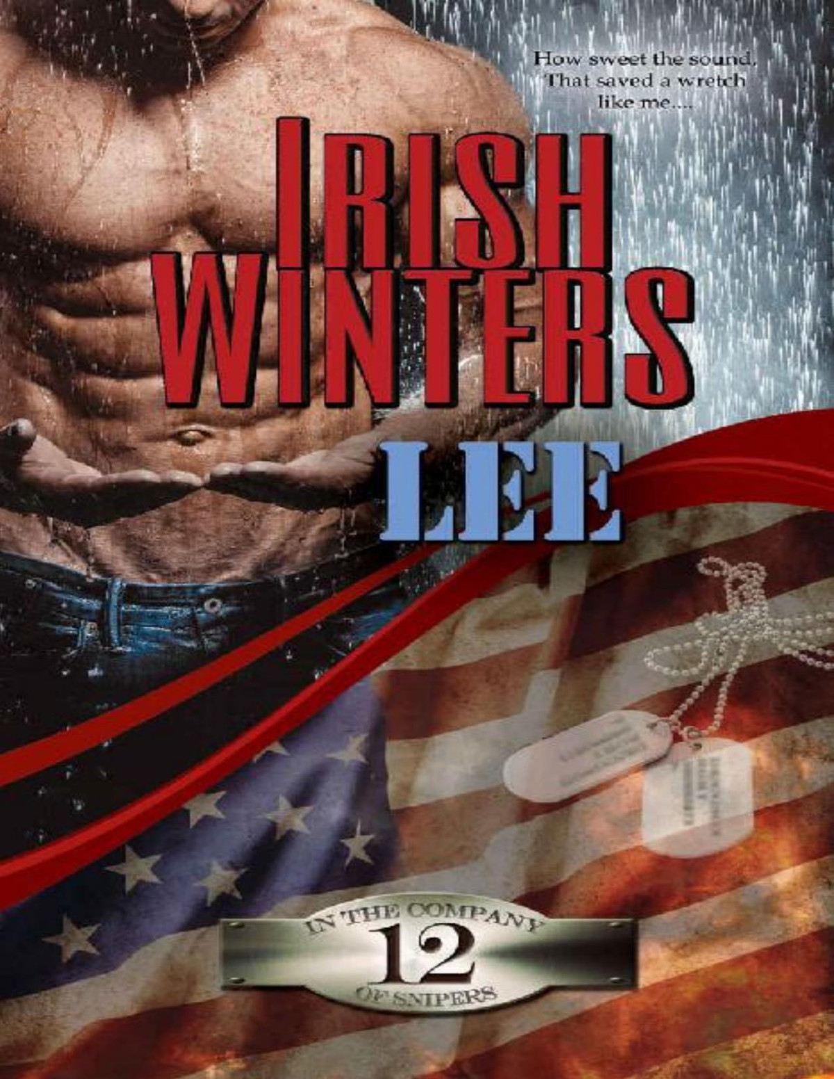 Lee In The Company Of Snipers Book 12 Irish Winters